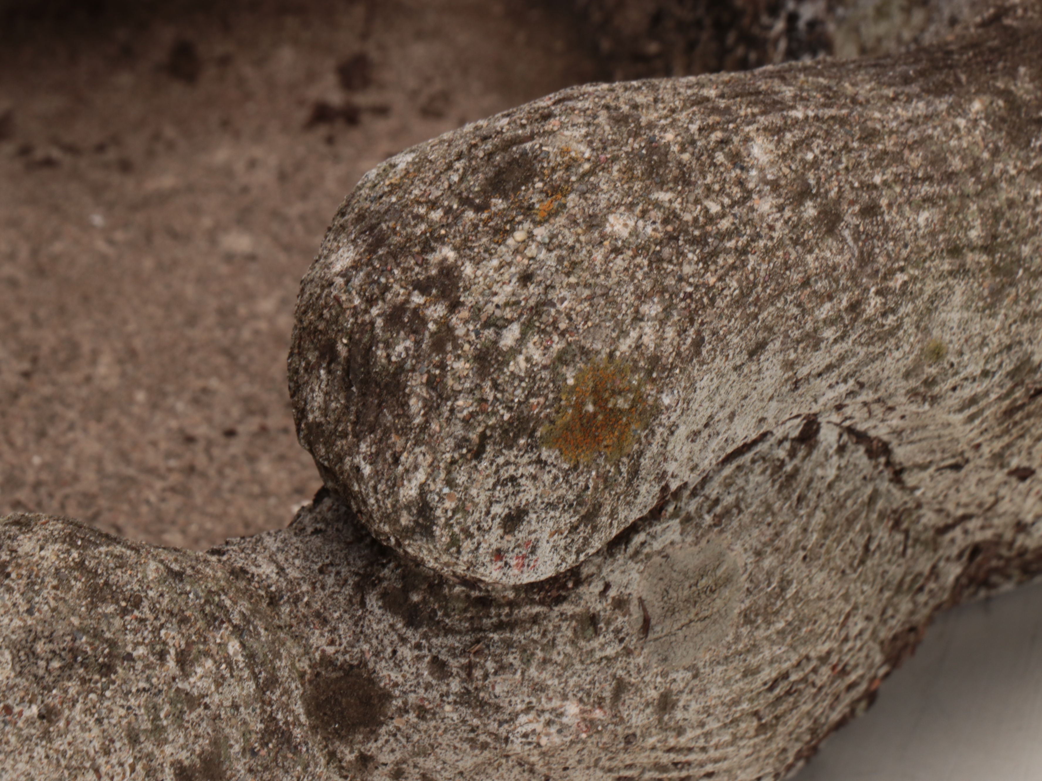 Weathered Cat Lying on Back Stone Garden Planter