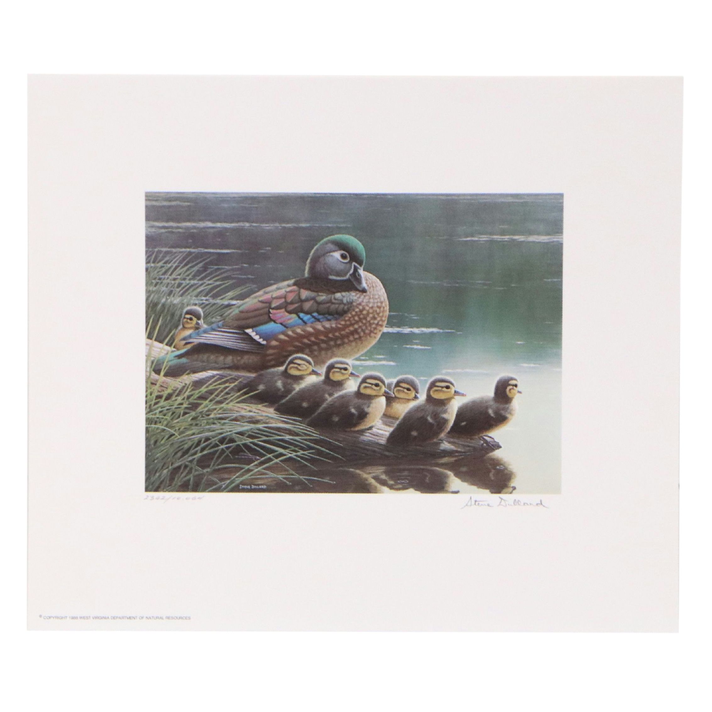 Dave Chapple Kentucky Duck Stamp Print with Stamp and More, 1986