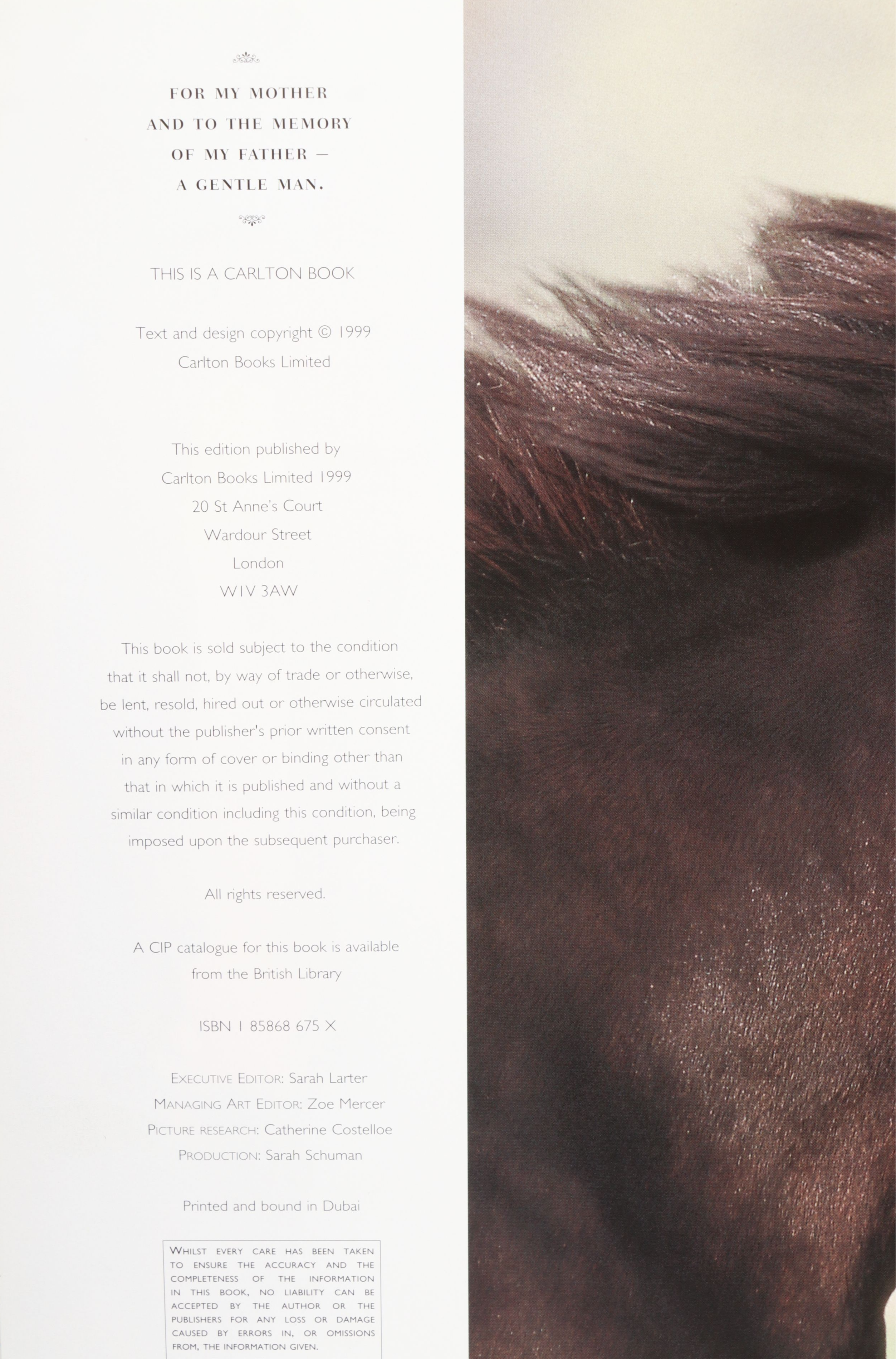 "Horse Sense", "Why Horses Do That" with Other Books, Videos and Collectibles