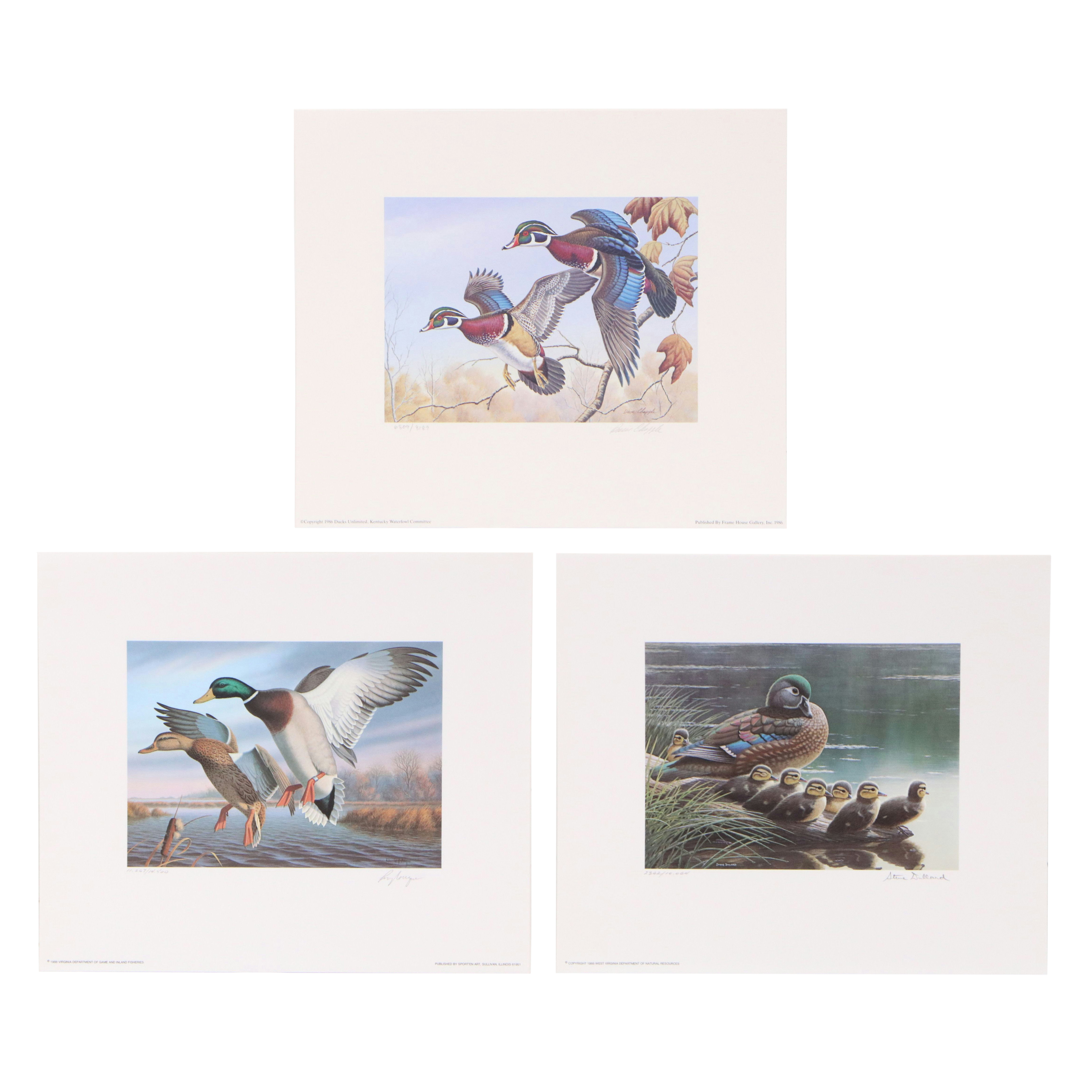 Dave Chapple Kentucky Duck Stamp Print with Stamp and More, 1986