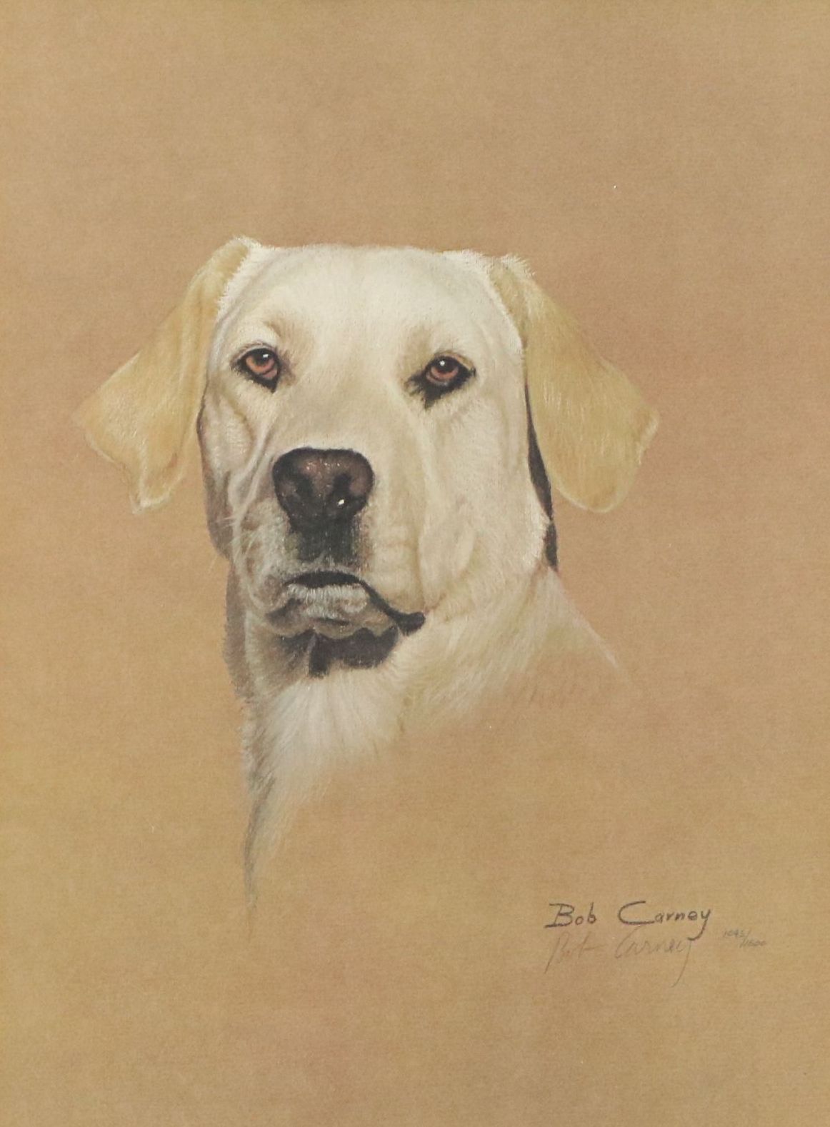 Bob Carney Offset Lithographs of Dog Portraits