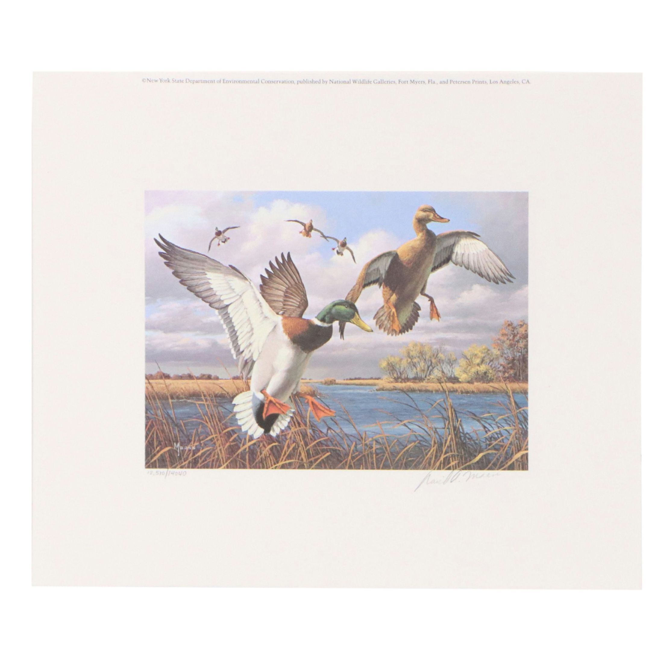 Migratory Bird Conservation Stamps and Offset Lithographs, 1980s