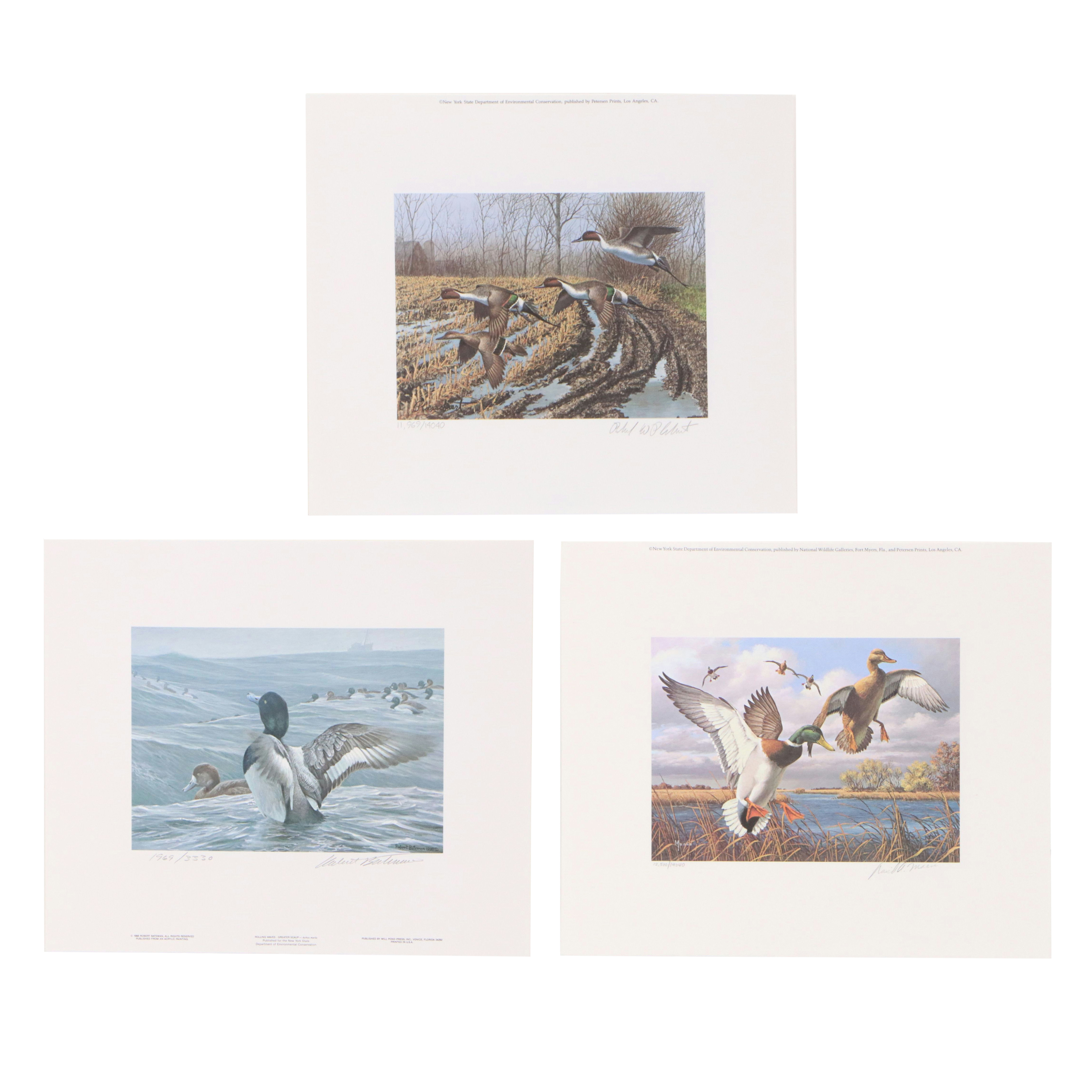 Migratory Bird Conservation Stamps and Offset Lithographs, 1980s