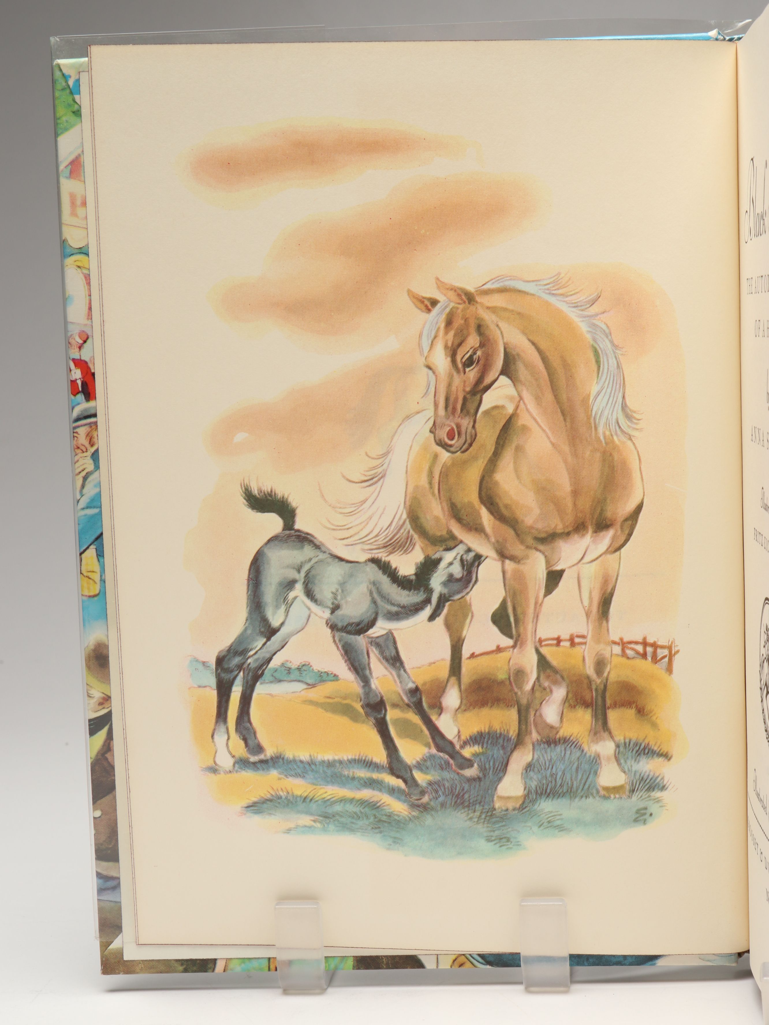 "Jungle Book" and More Illustrated Junior Library Books, Mid-20th C.