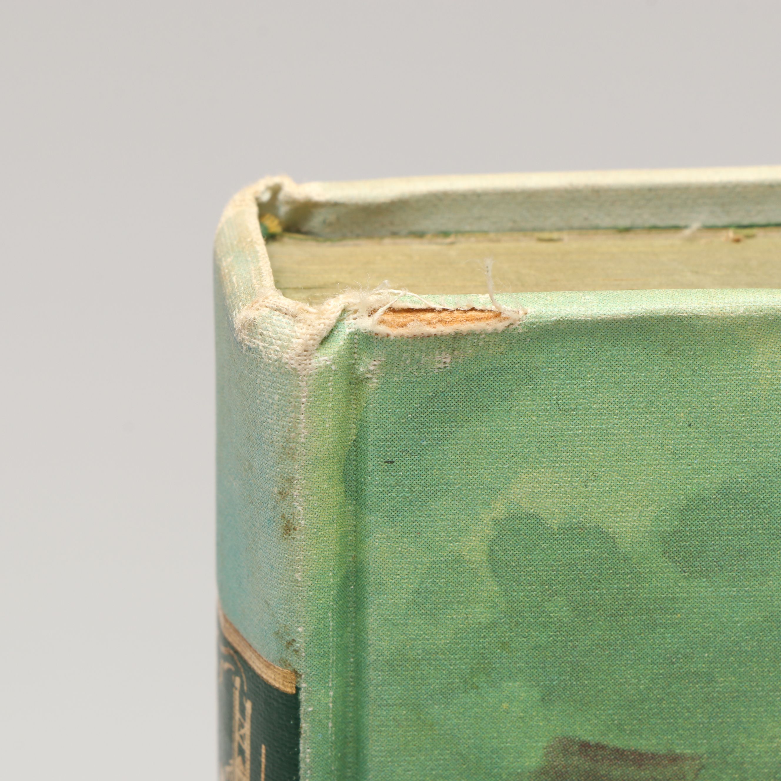 "Jungle Book" and More Illustrated Junior Library Books, Mid-20th C.