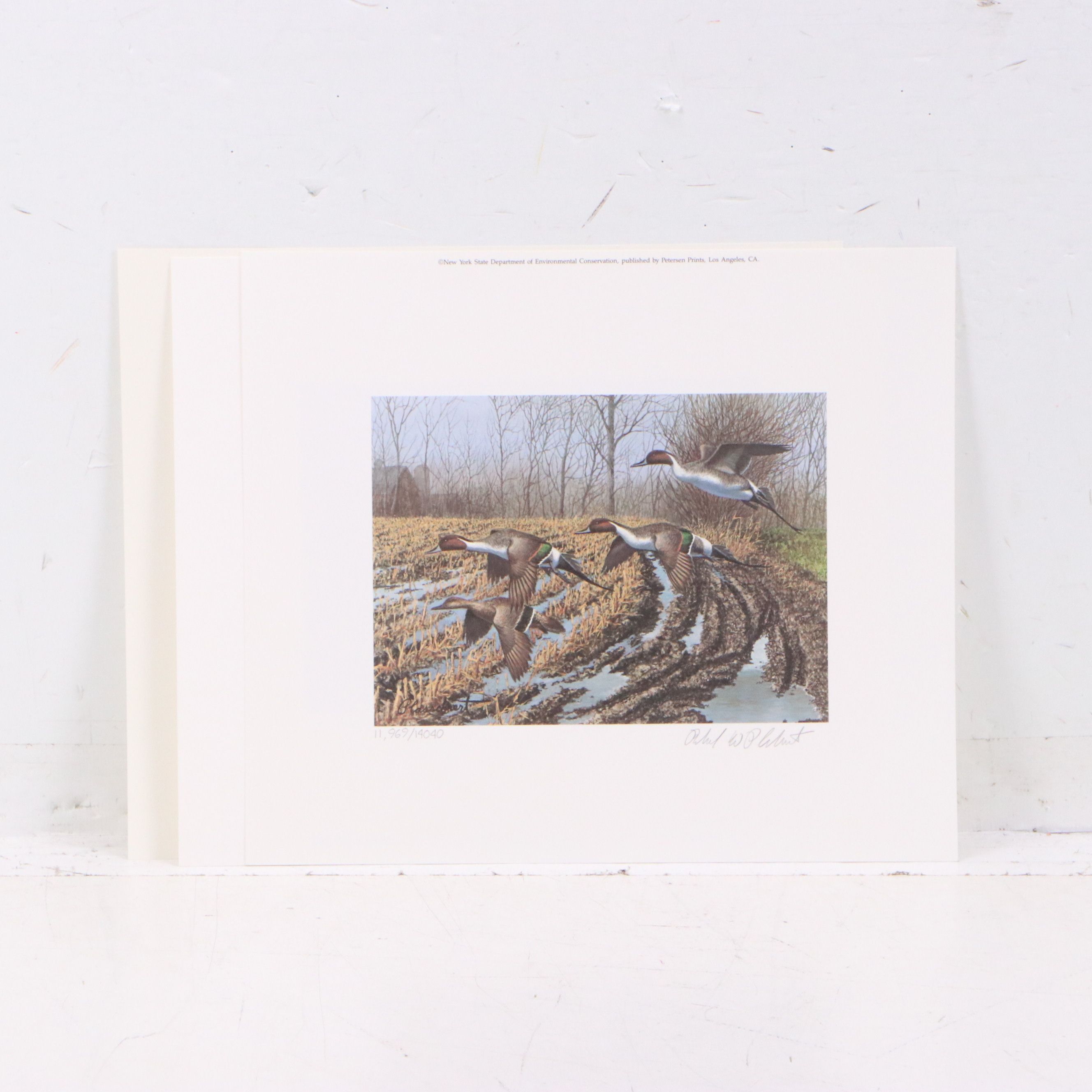 Migratory Bird Conservation Stamps and Offset Lithographs, 1980s