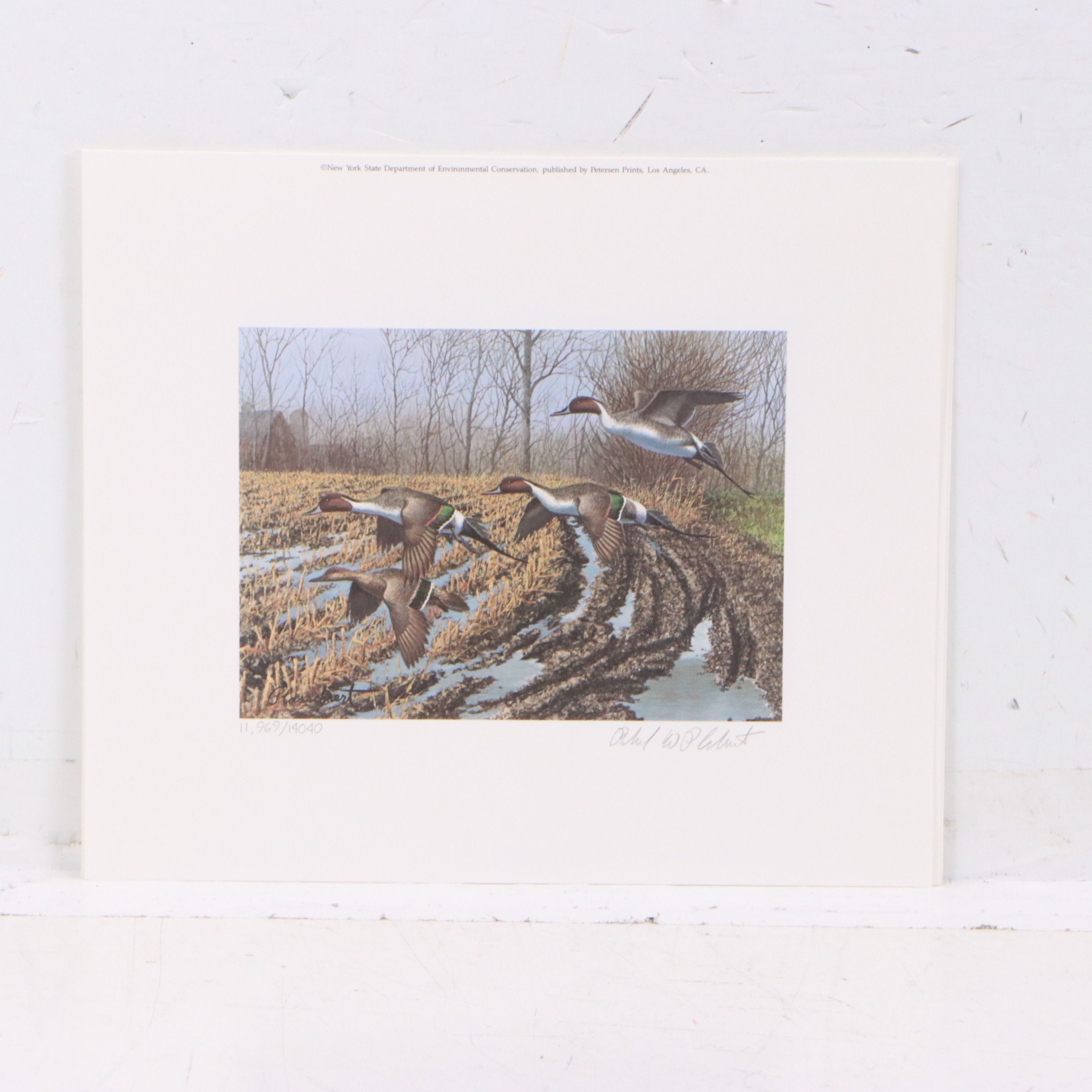 Migratory Bird Conservation Stamps and Offset Lithographs, 1980s