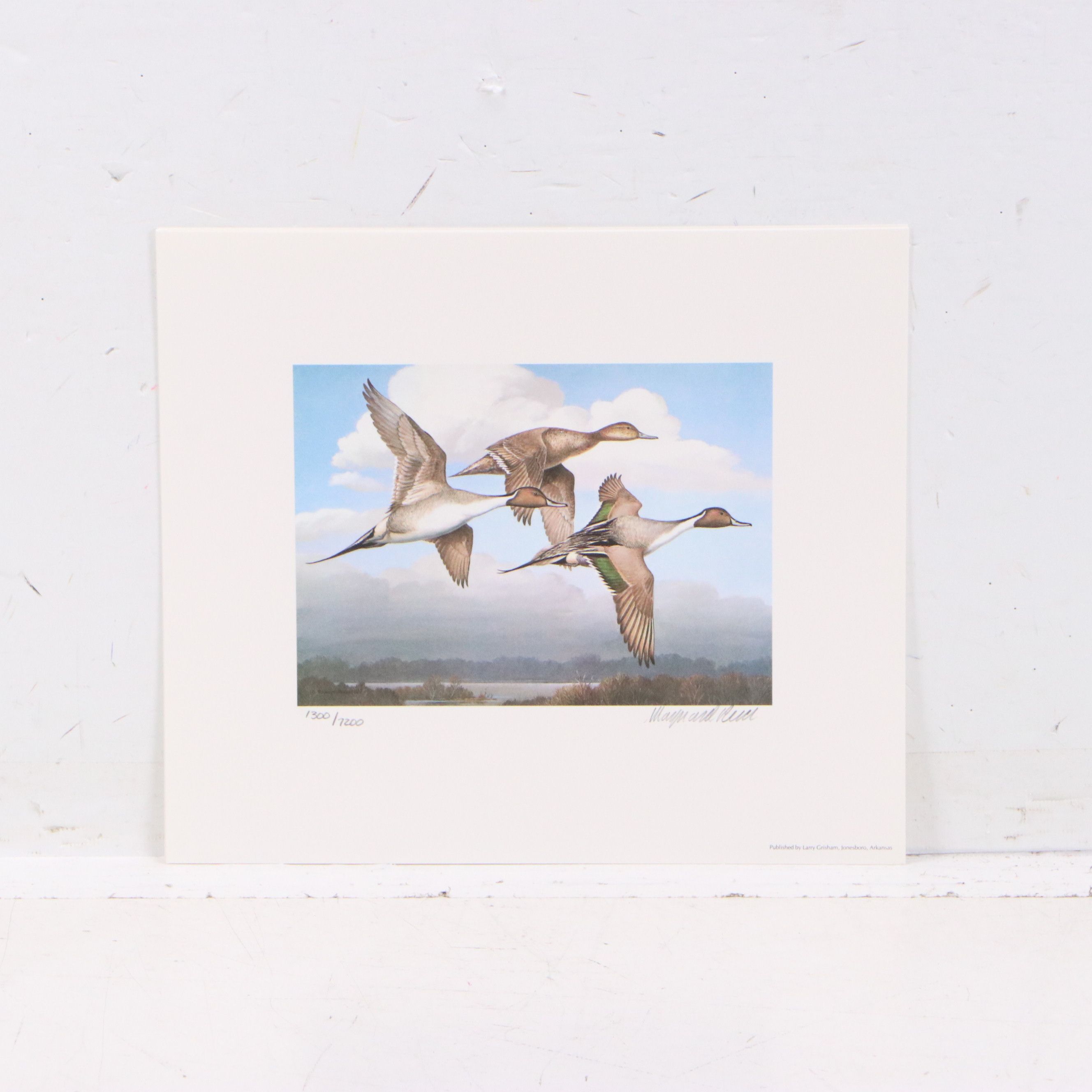 Migratory Bird Conservation Offset Lithographs and Stamps, 1980s