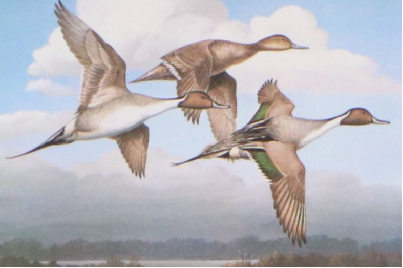 Migratory Bird Conservation Offset Lithographs and Stamps, 1980s