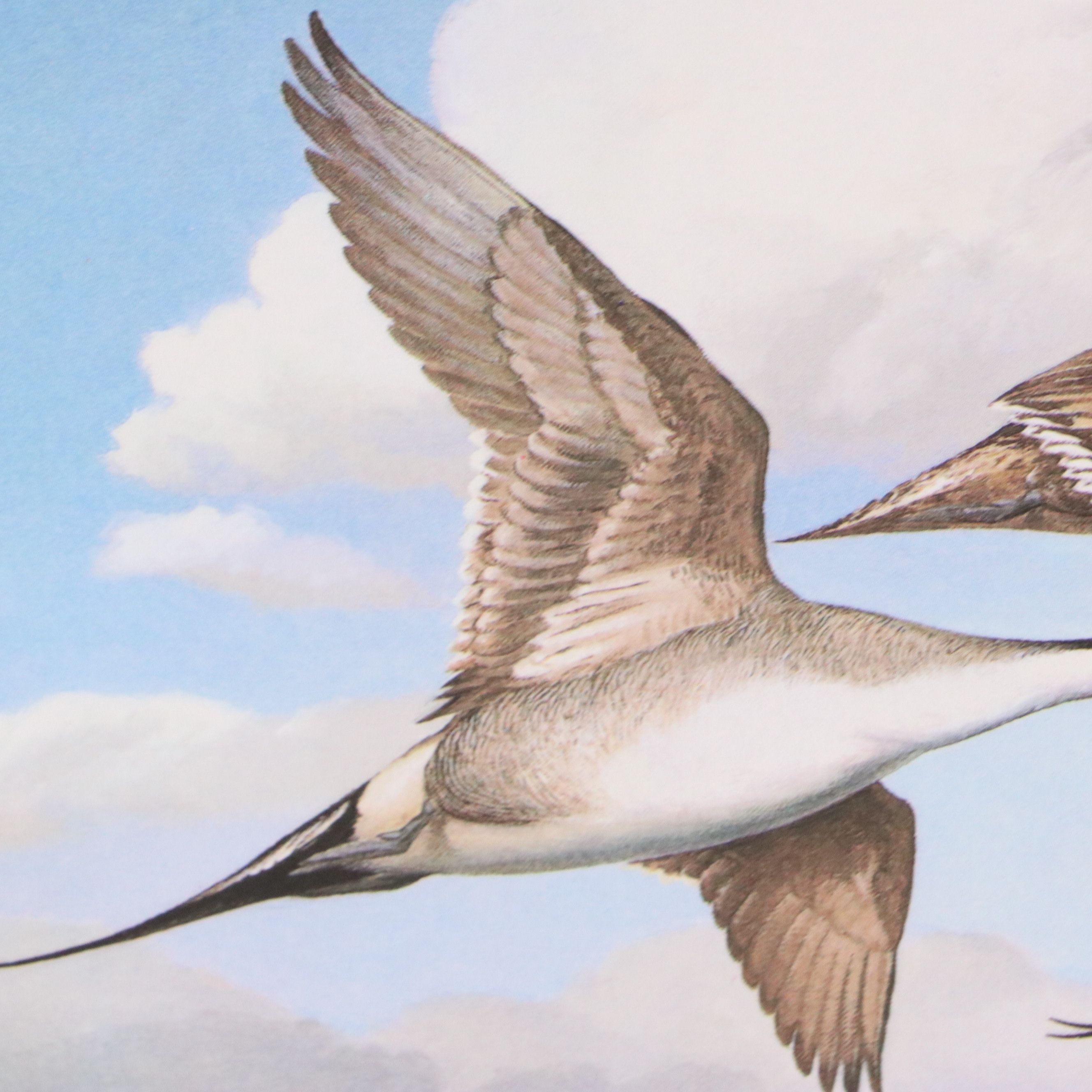 Migratory Bird Conservation Offset Lithographs and Stamps, 1980s