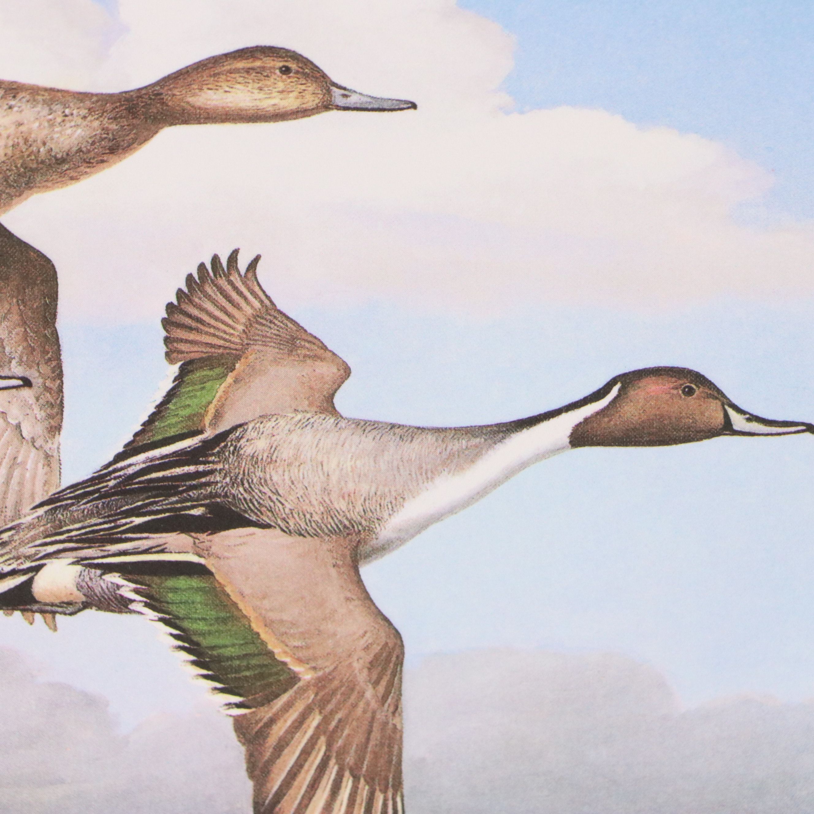 Migratory Bird Conservation Offset Lithographs and Stamps, 1980s