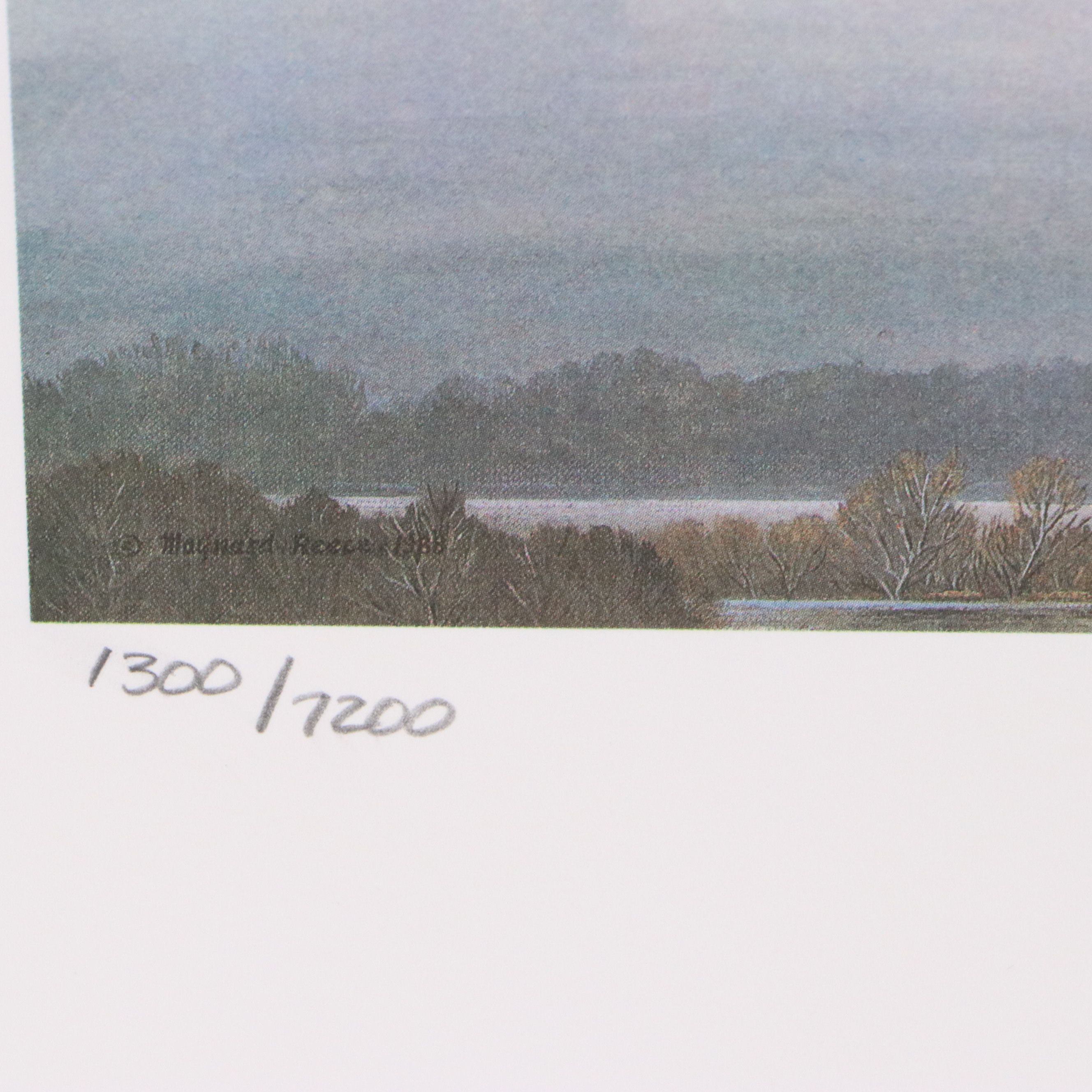 Migratory Bird Conservation Offset Lithographs and Stamps, 1980s