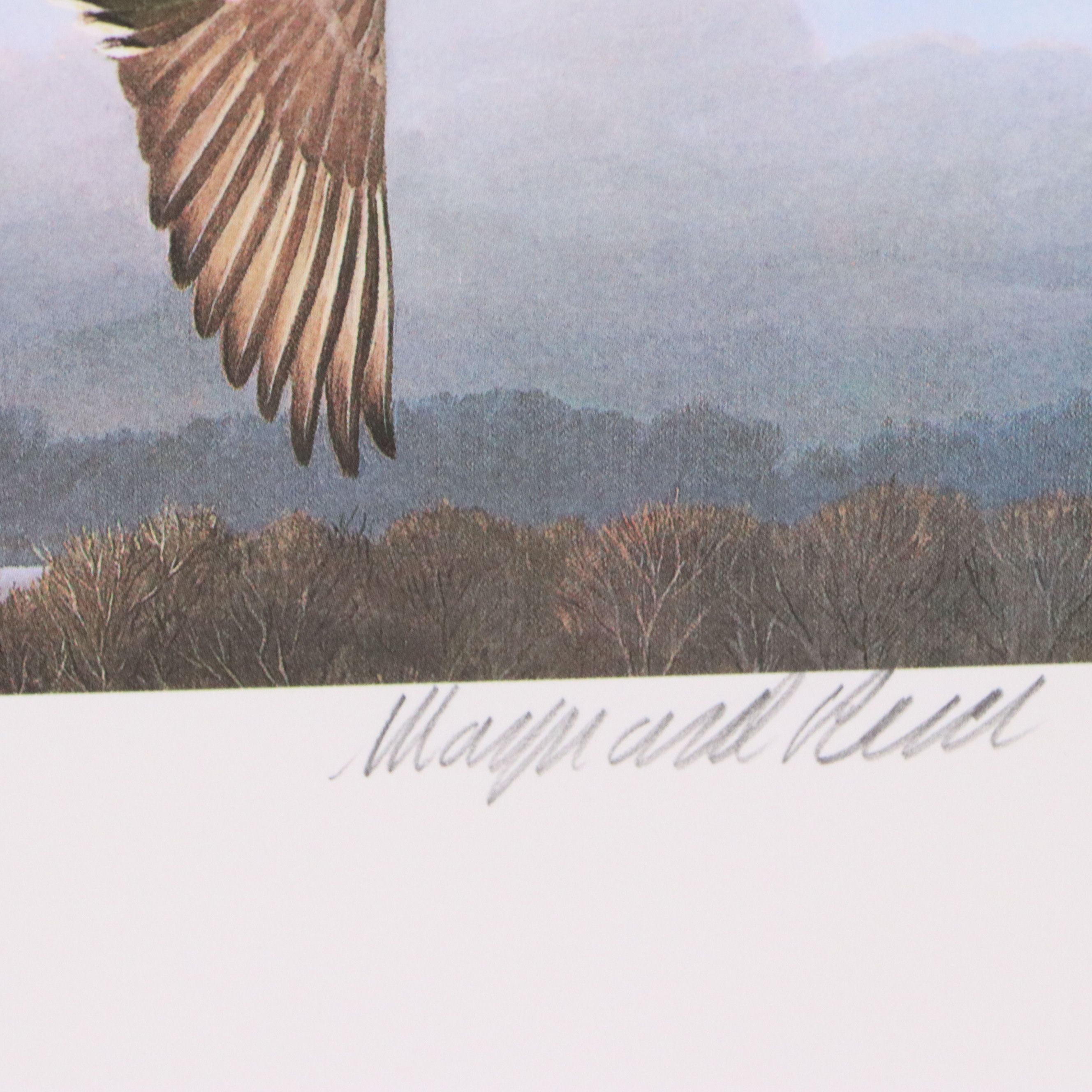 Migratory Bird Conservation Offset Lithographs and Stamps, 1980s