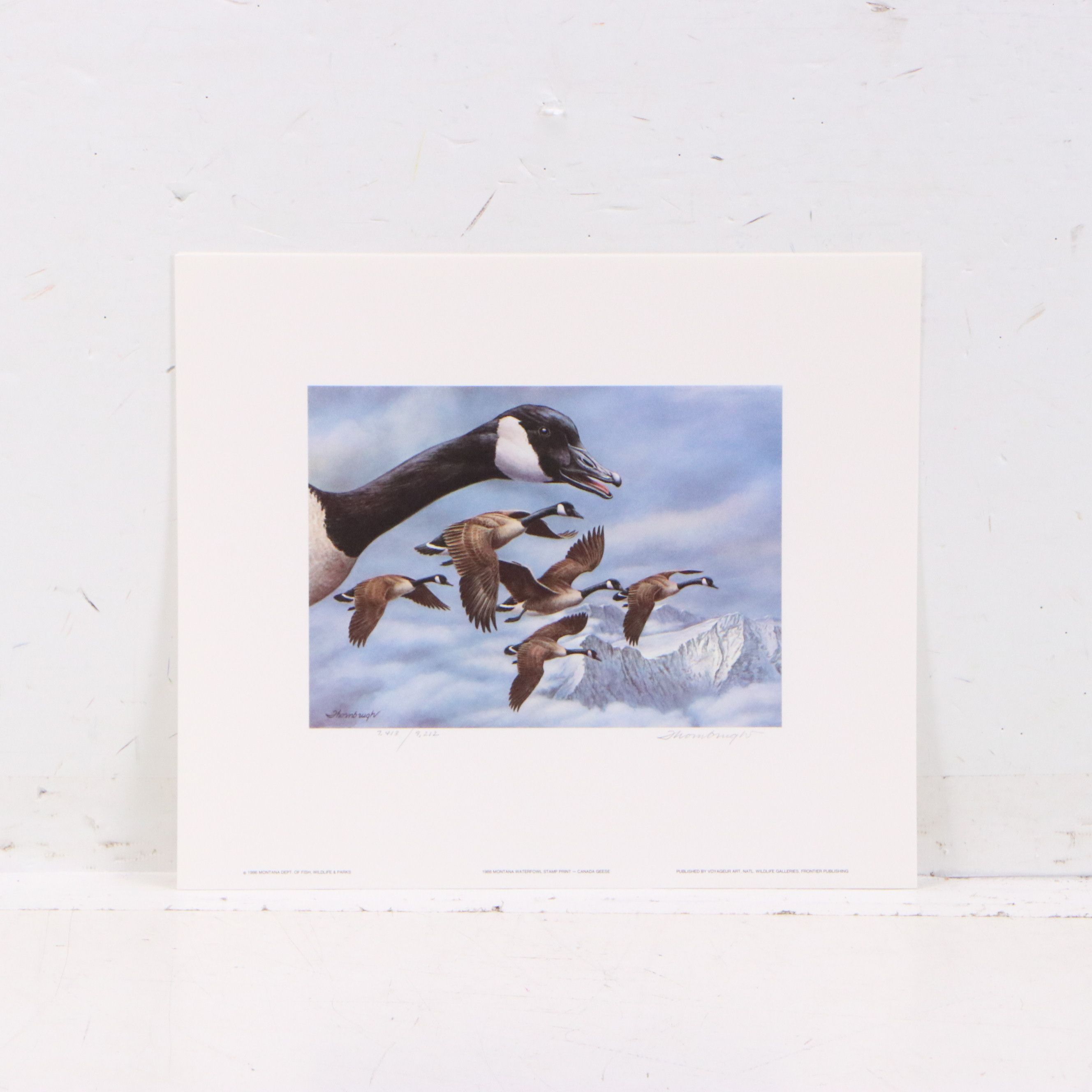 Migratory Bird Conservation Offset Lithographs and Stamps, 1980s