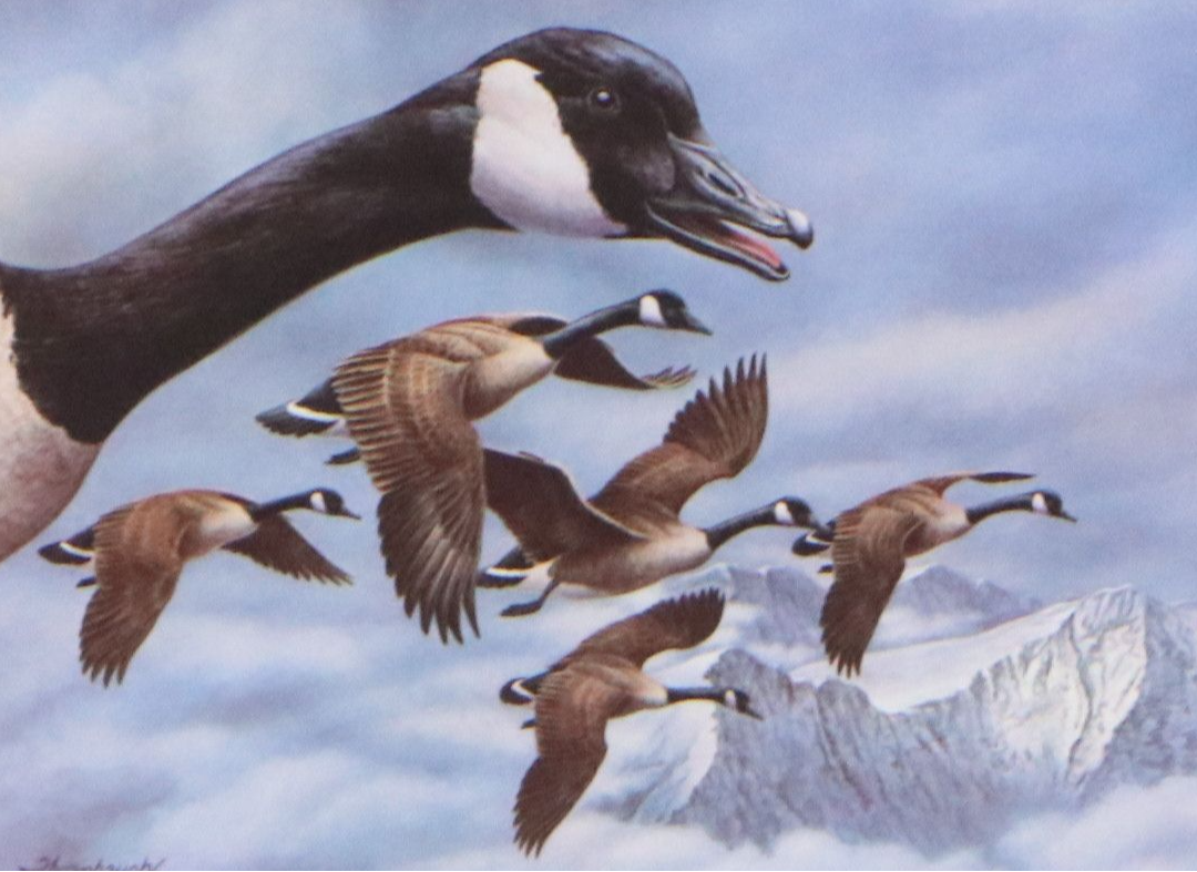 Migratory Bird Conservation Offset Lithographs and Stamps, 1980s