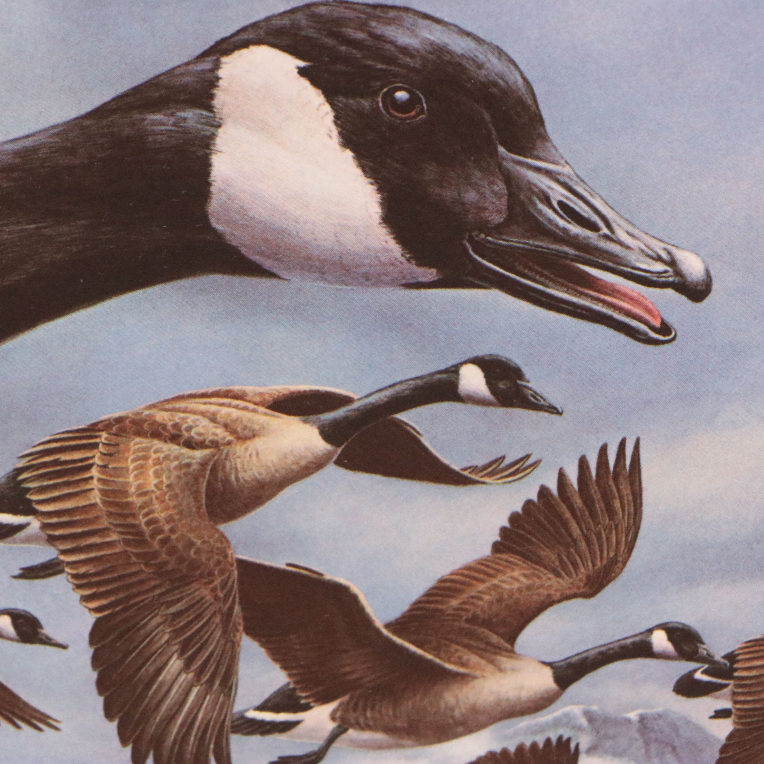 Migratory Bird Conservation Offset Lithographs and Stamps, 1980s