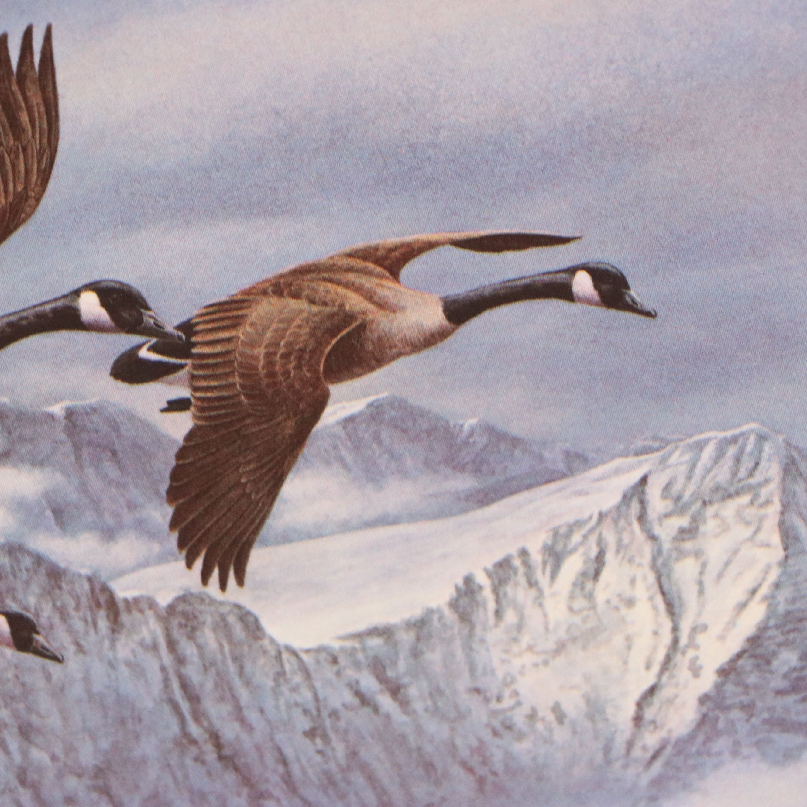 Migratory Bird Conservation Offset Lithographs and Stamps, 1980s