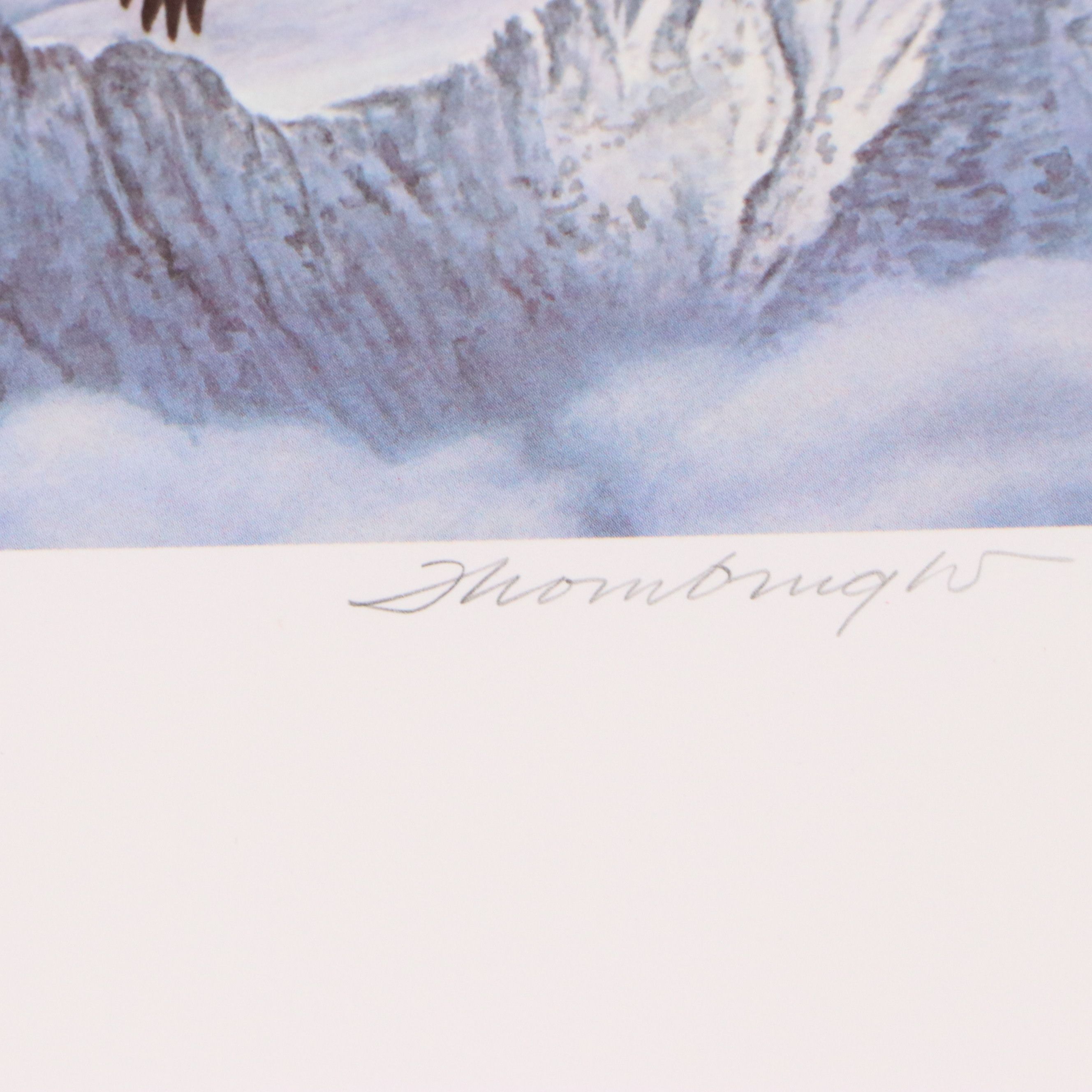 Migratory Bird Conservation Offset Lithographs and Stamps, 1980s