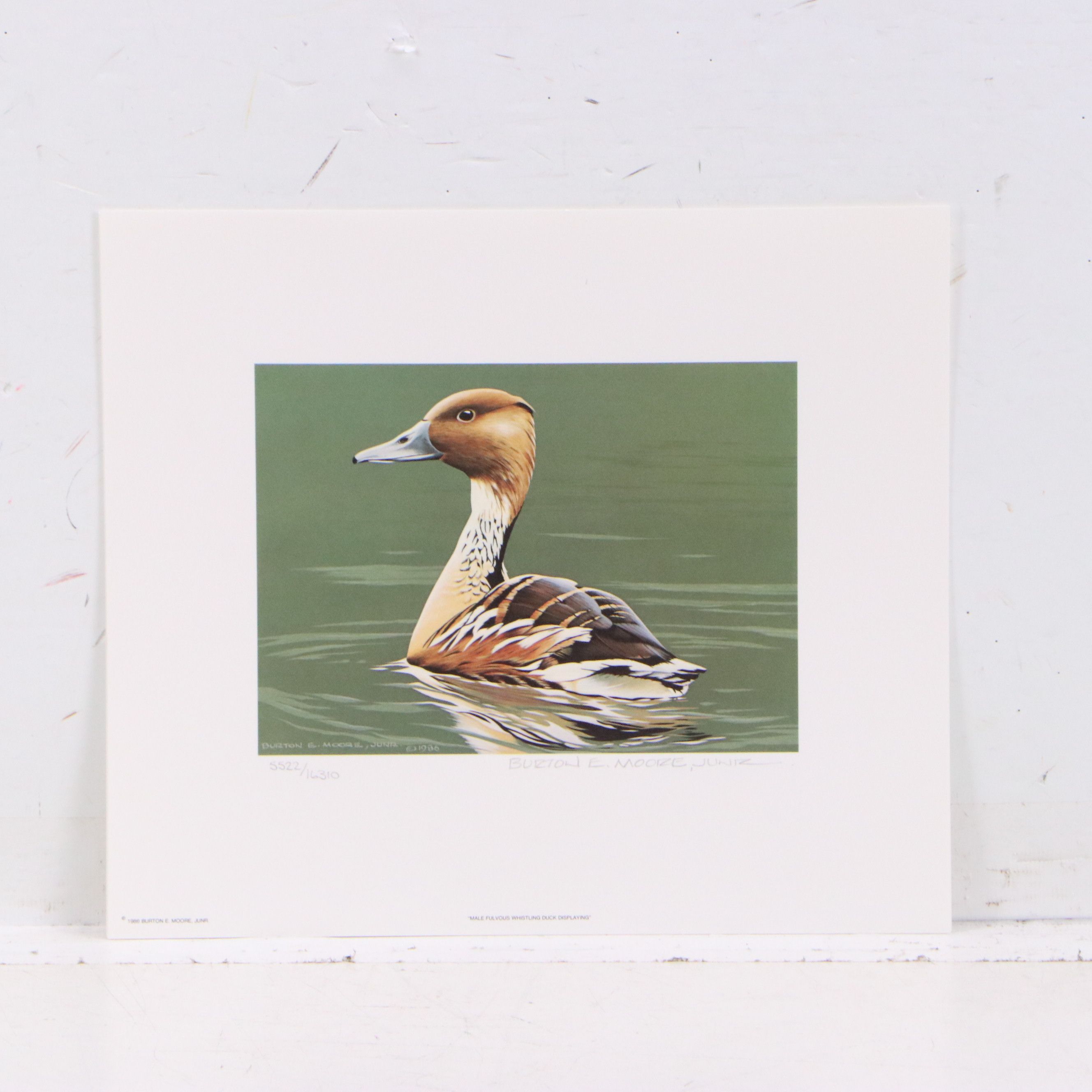 Migratory Bird Conservation Offset Lithographs and Stamps, 1980s