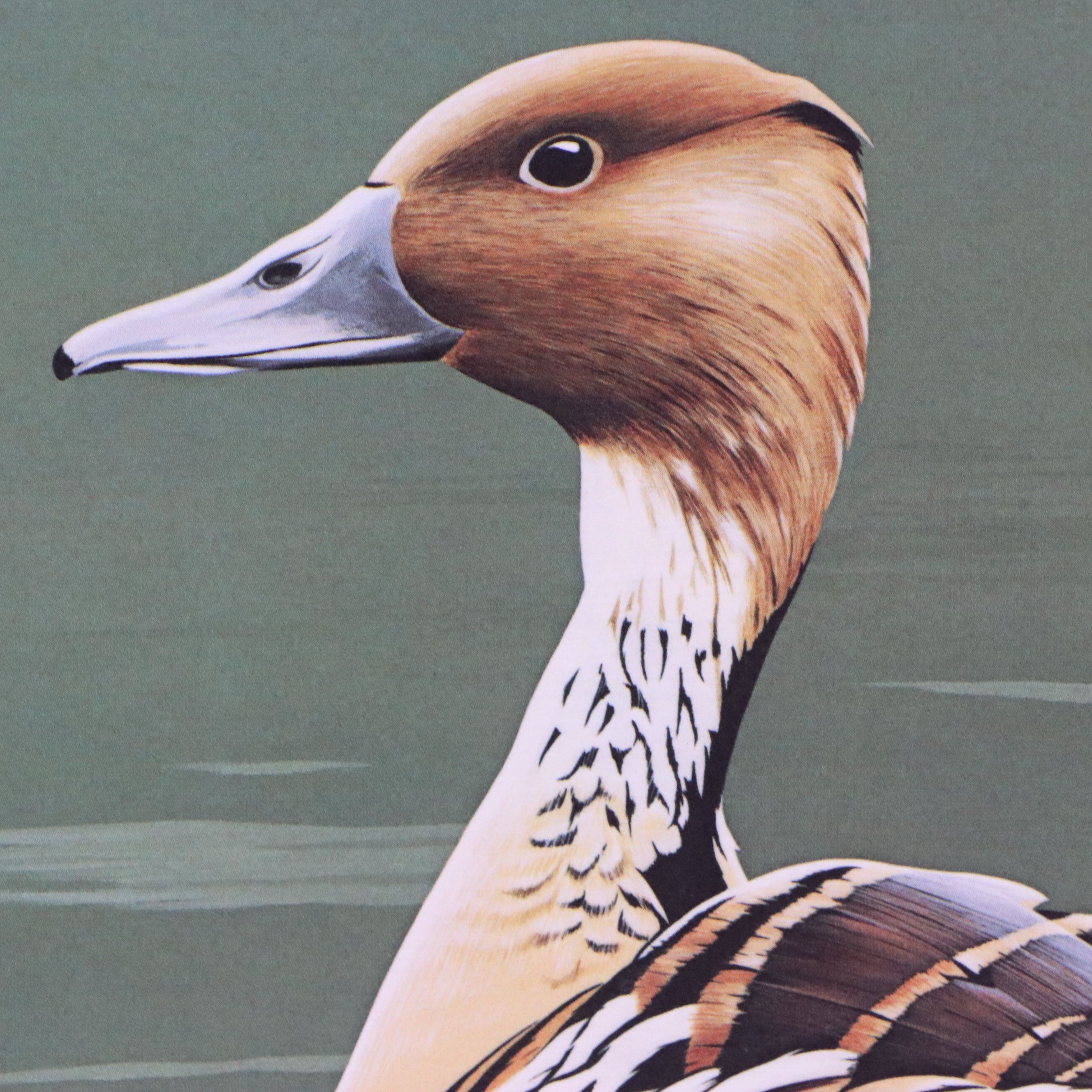 Migratory Bird Conservation Offset Lithographs and Stamps, 1980s