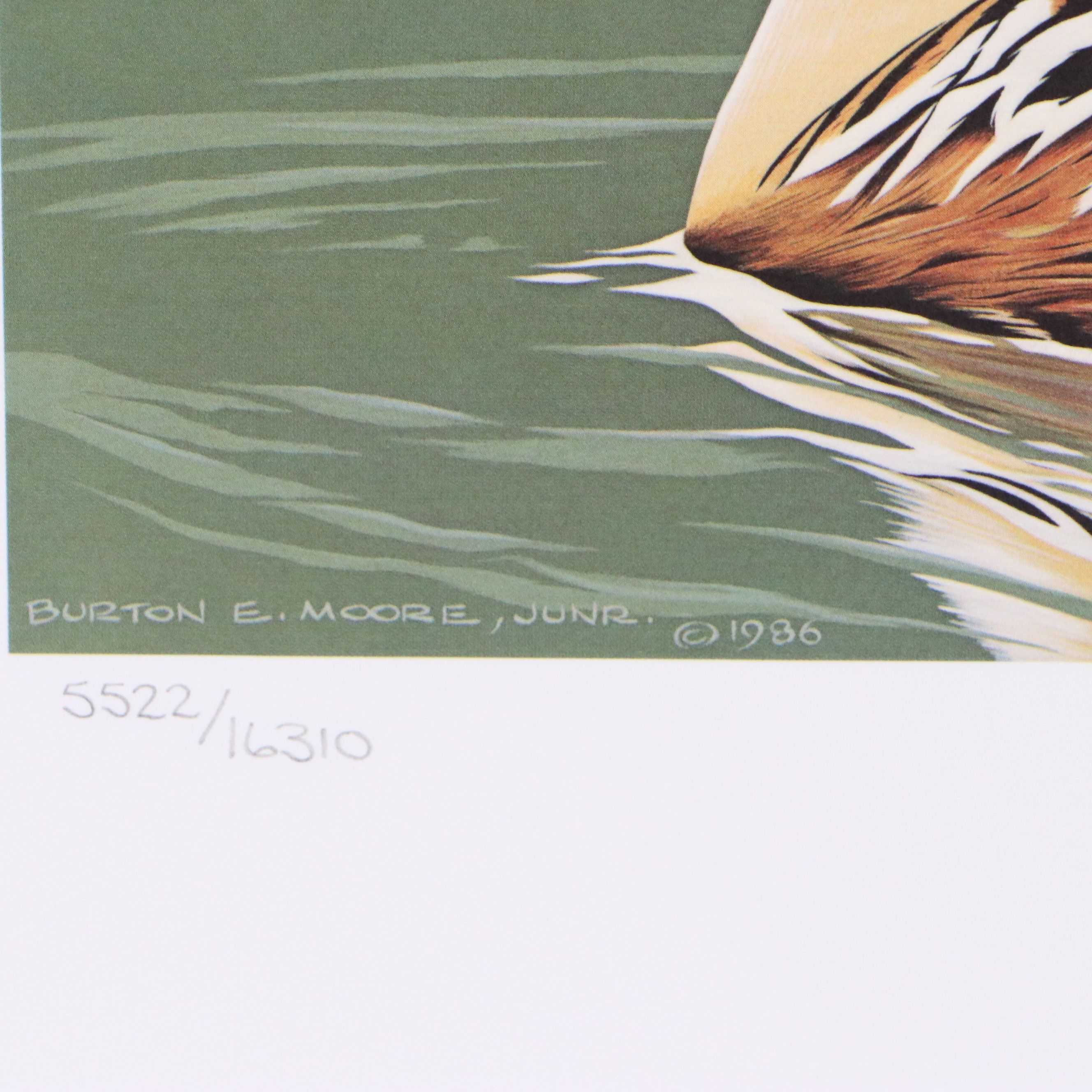Migratory Bird Conservation Offset Lithographs and Stamps, 1980s