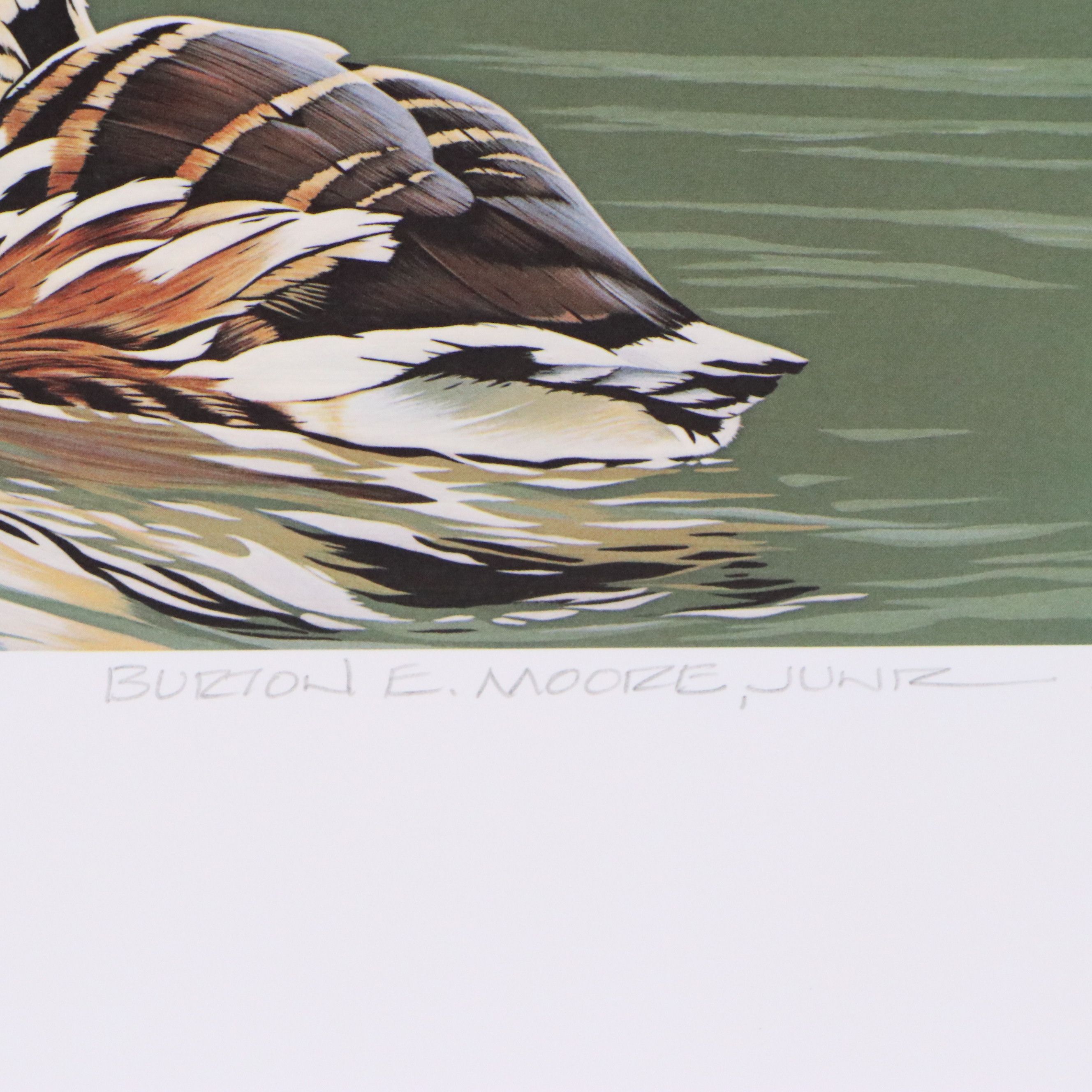 Migratory Bird Conservation Offset Lithographs and Stamps, 1980s