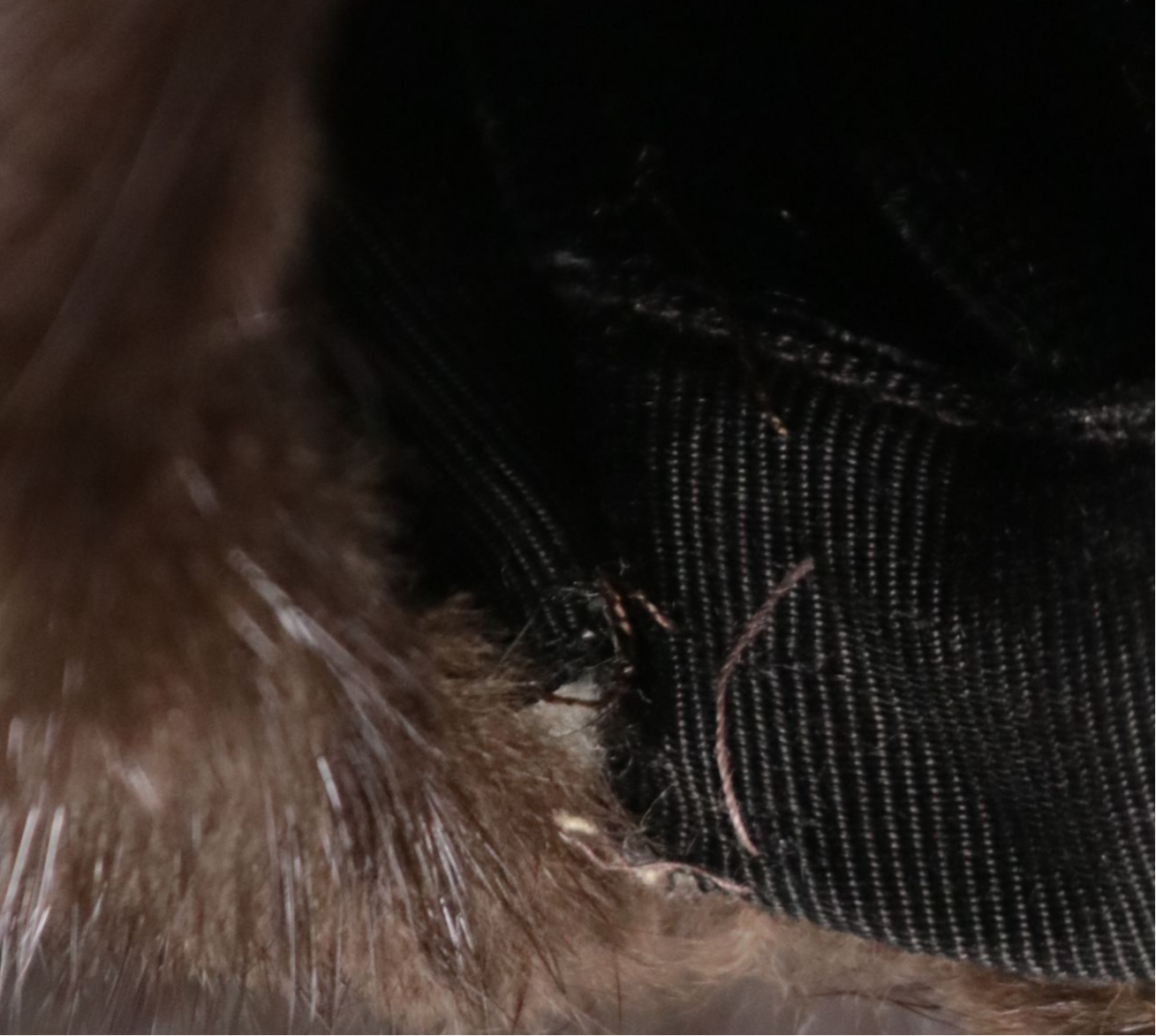 Mink Fur Full-Length Hooded Coat from Diutsh Furs