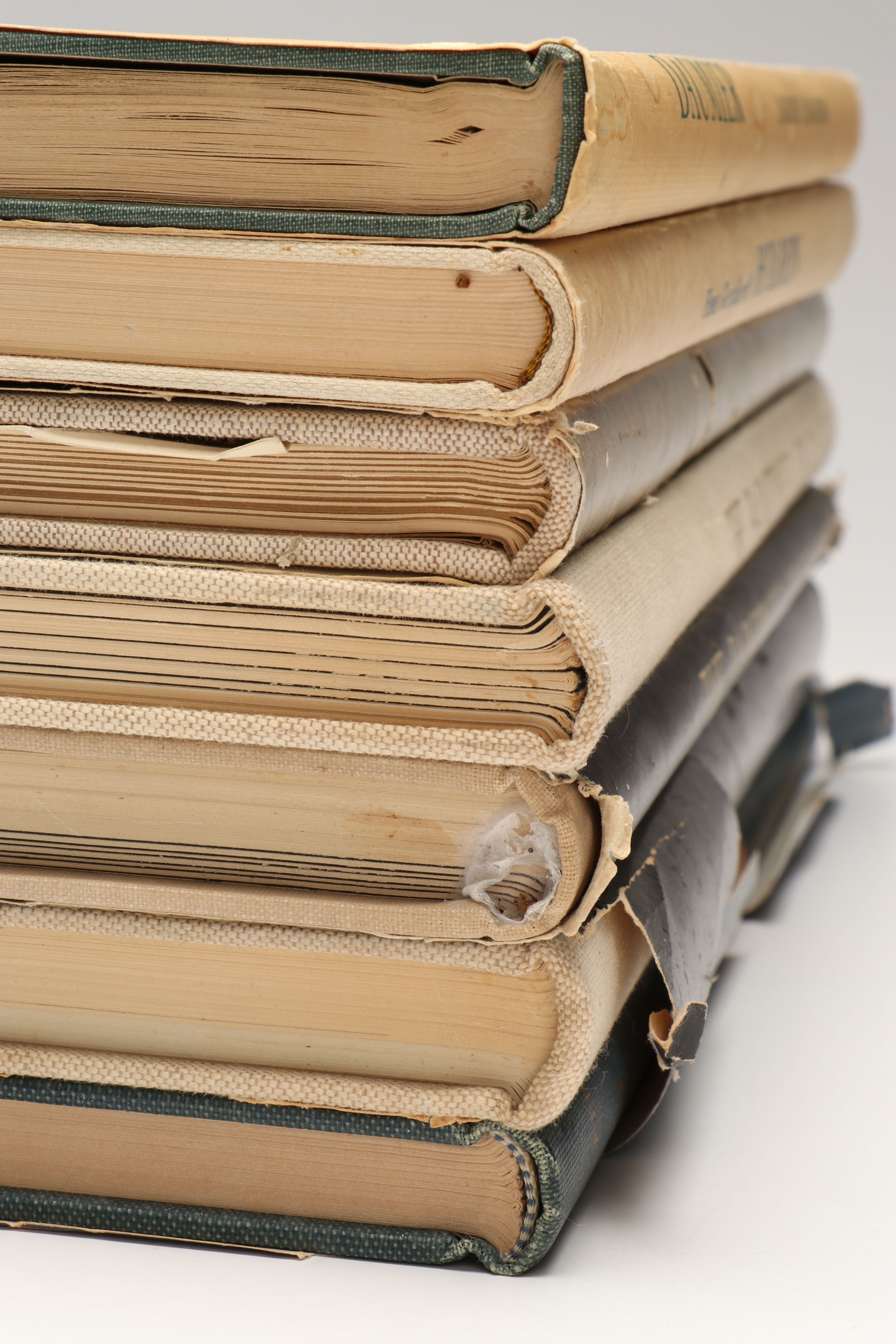 "Raphael," "Vermeer," "Holbein" and More Old Master Art Books, Mid-20th C.