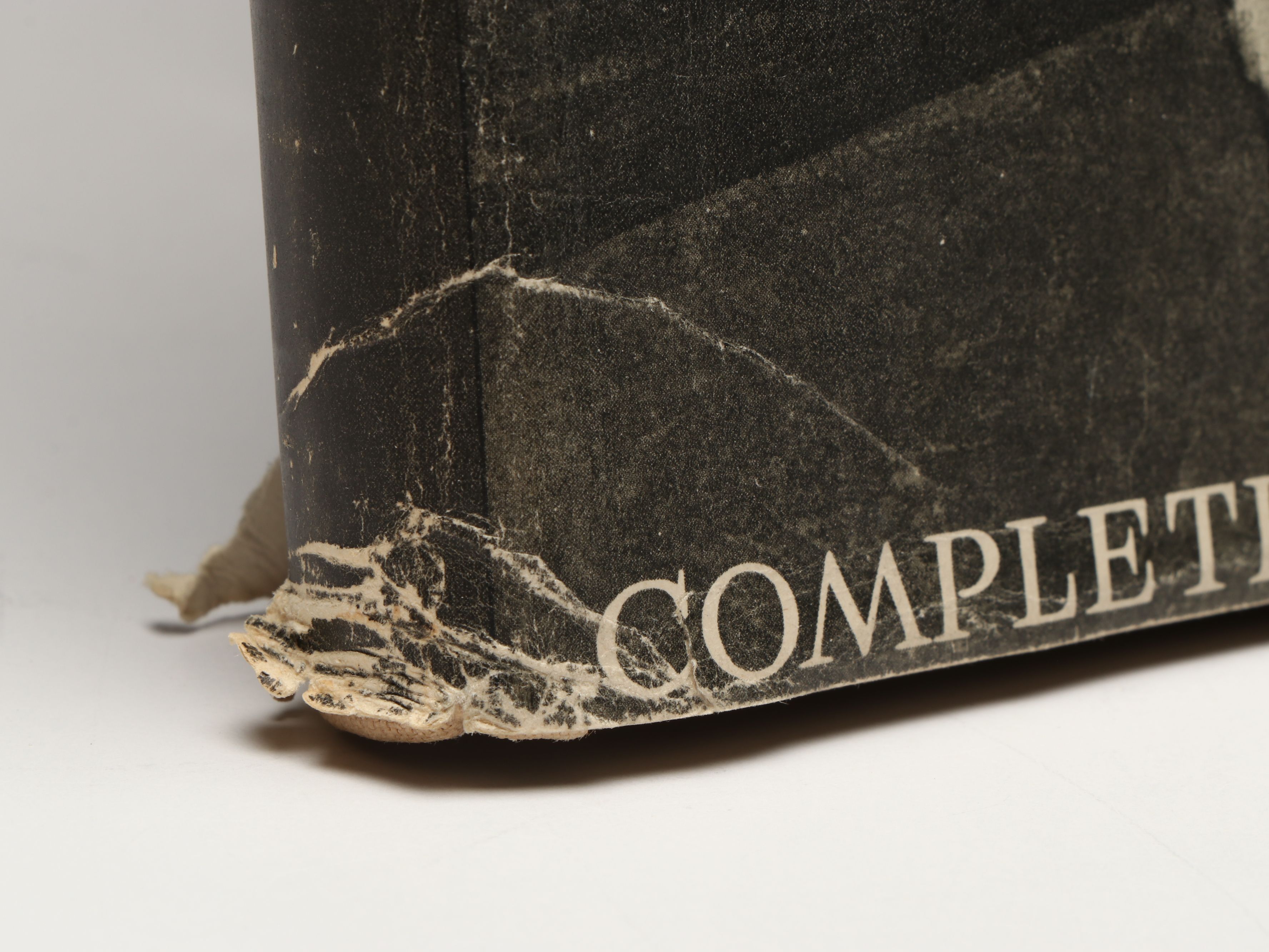 "Raphael," "Vermeer," "Holbein" and More Old Master Art Books, Mid-20th C.