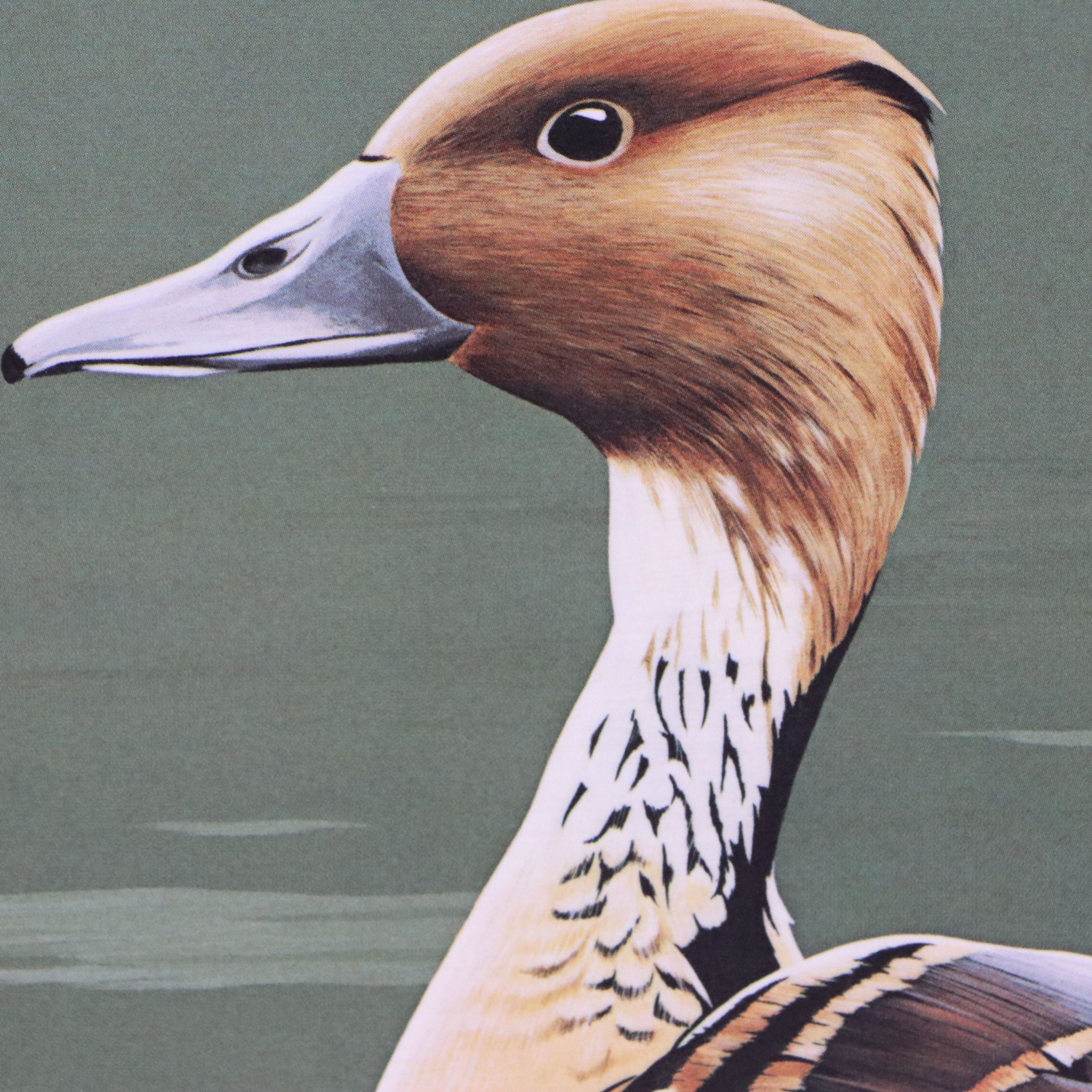 Burton E. Moore and Neal Anderson Offset Lithograph Duck Stamp Prints