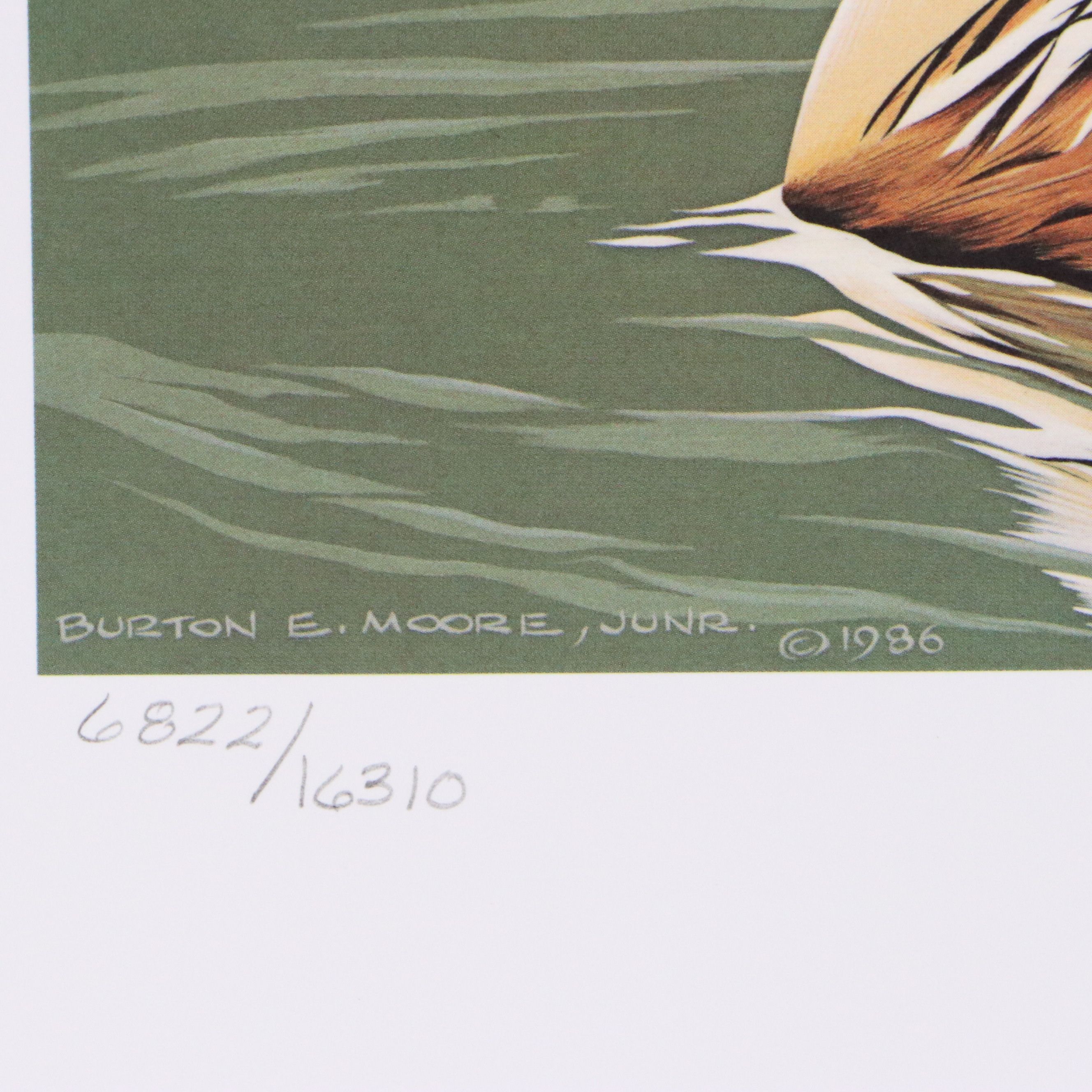 Burton E. Moore and Neal Anderson Offset Lithograph Duck Stamp Prints