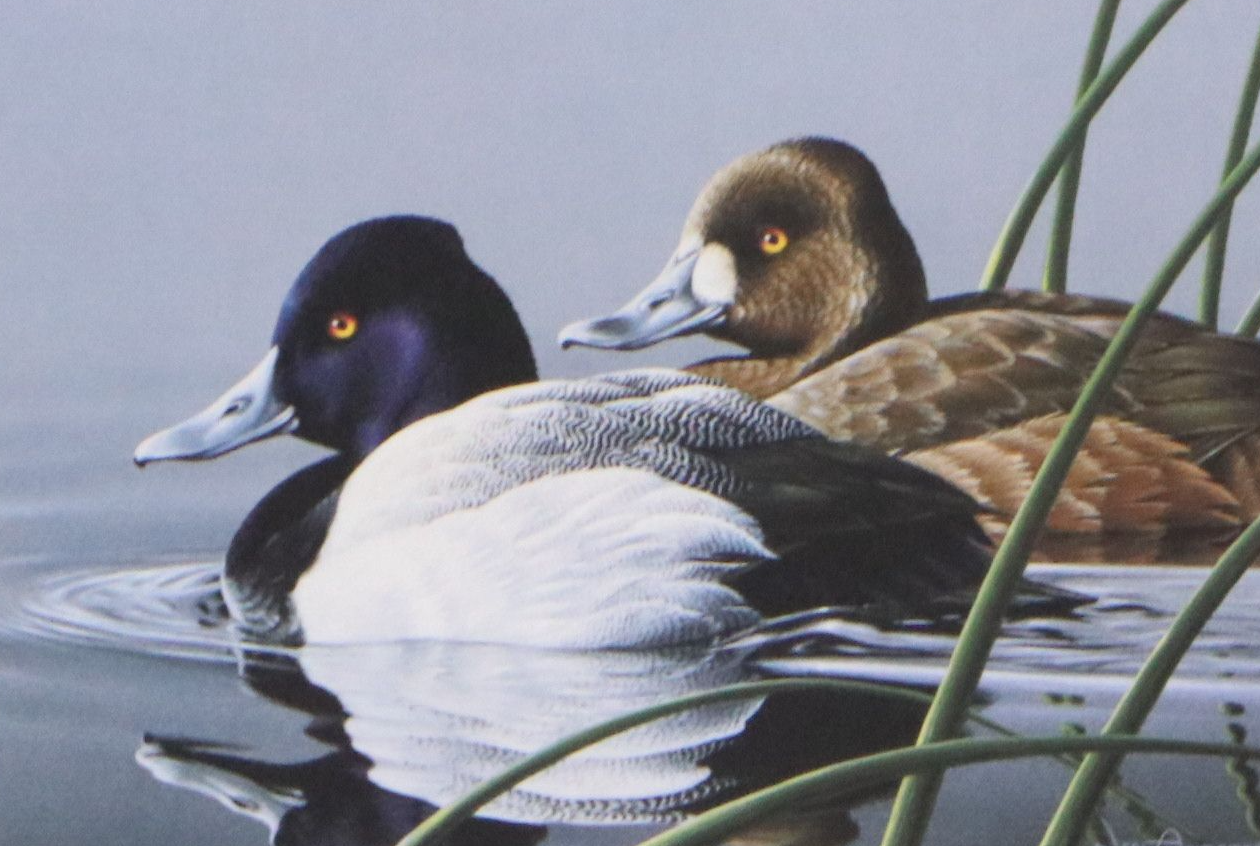 Burton E. Moore and Neal Anderson Offset Lithograph Duck Stamp Prints