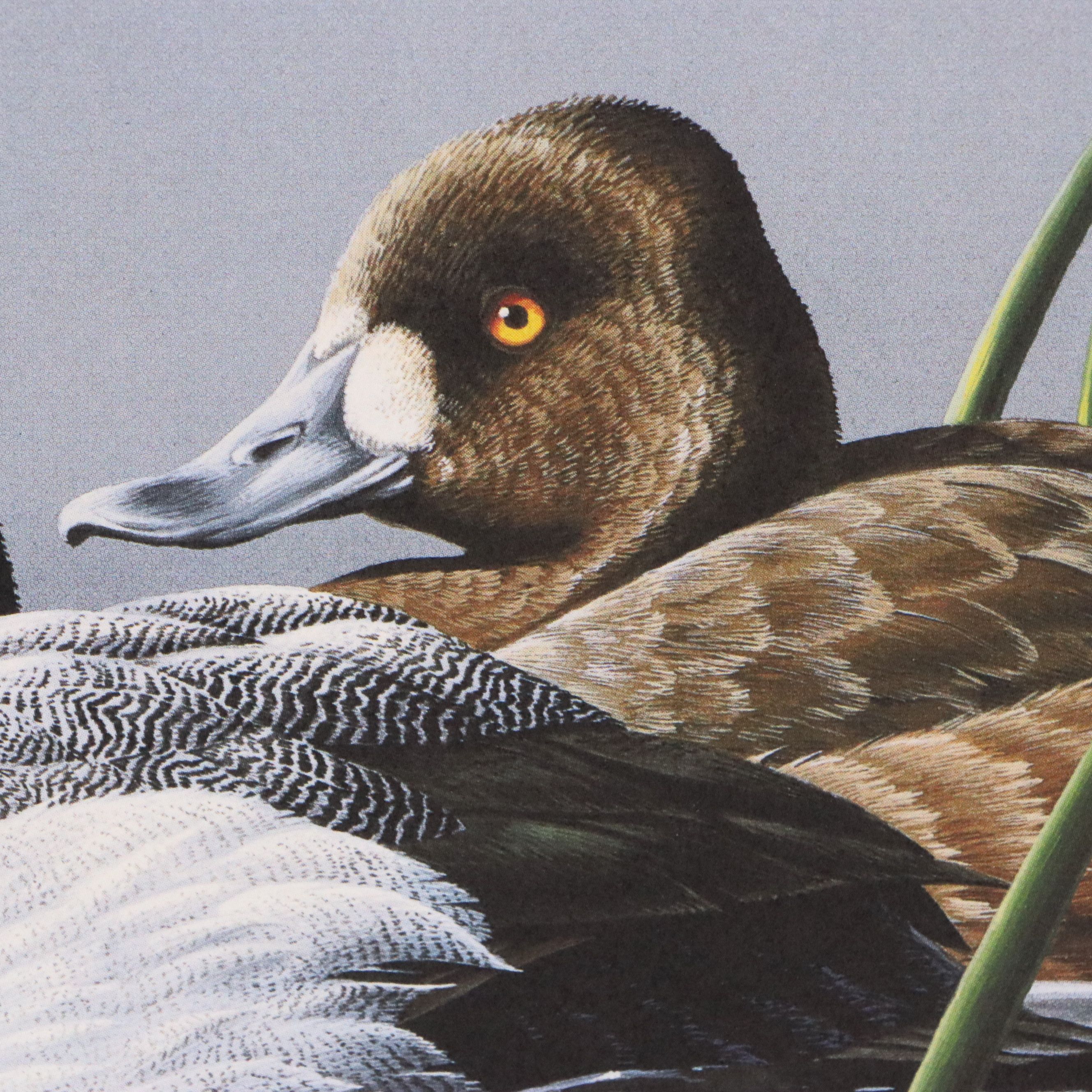 Burton E. Moore and Neal Anderson Offset Lithograph Duck Stamp Prints