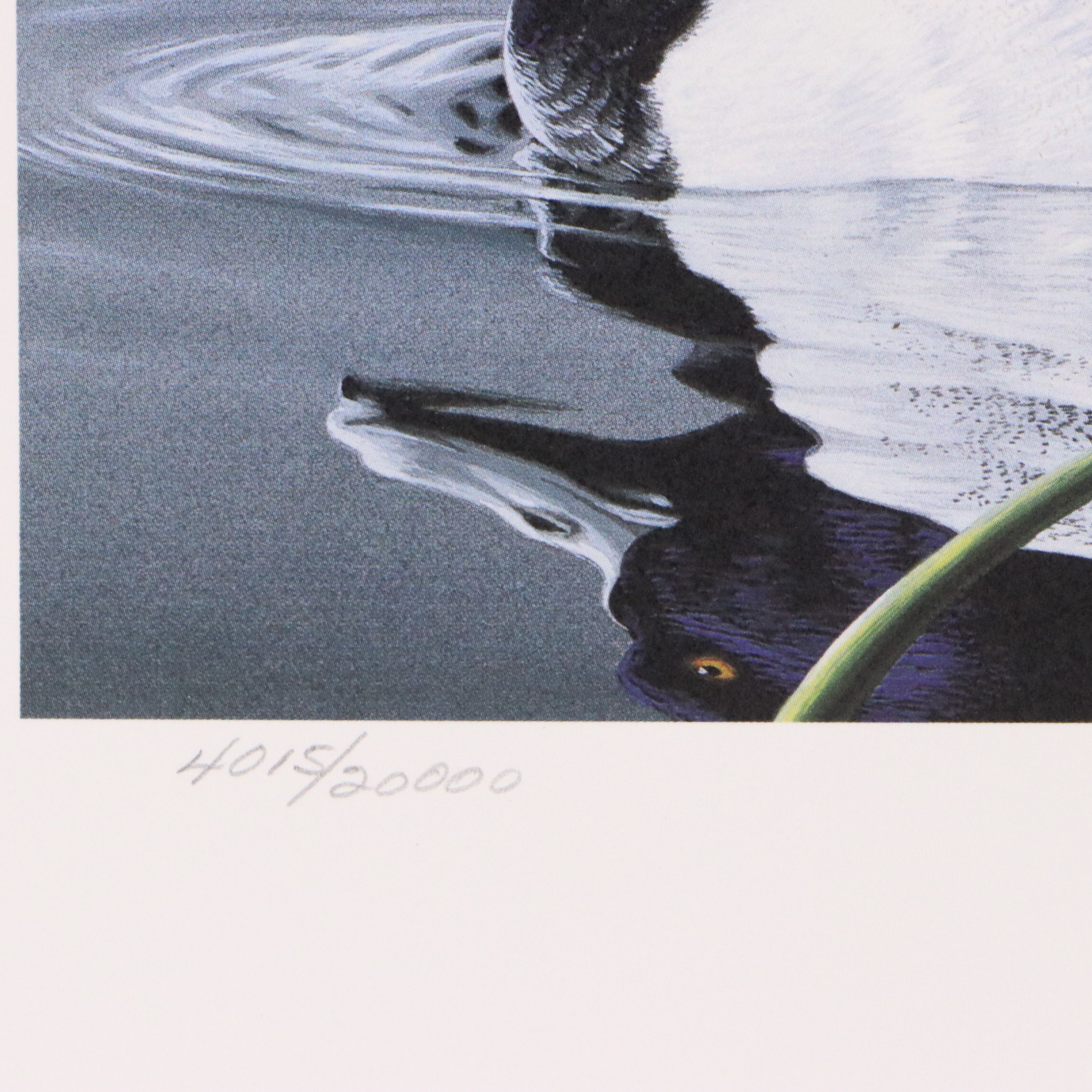Burton E. Moore and Neal Anderson Offset Lithograph Duck Stamp Prints