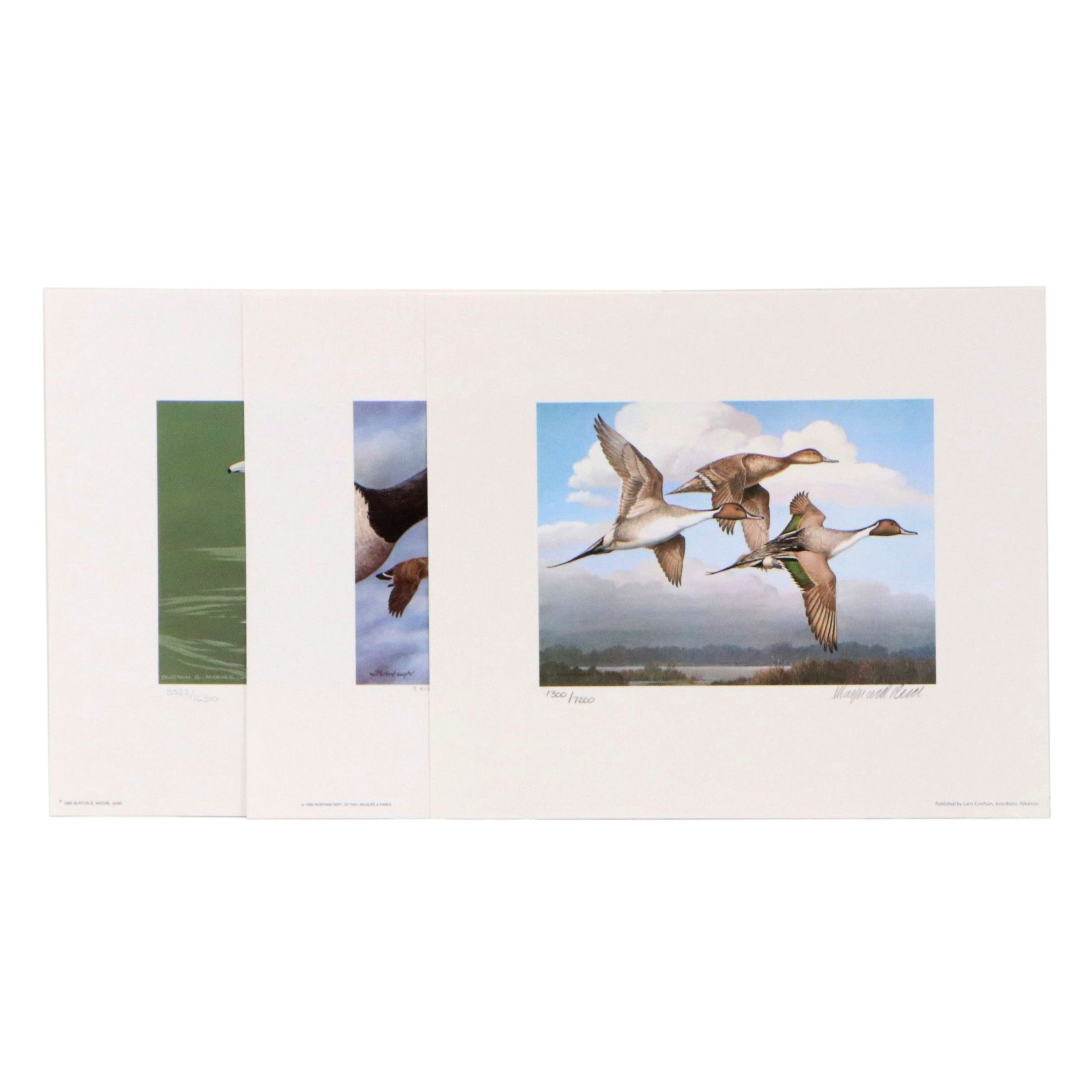 Migratory Bird Conservation Offset Lithographs and Stamps, 1980s