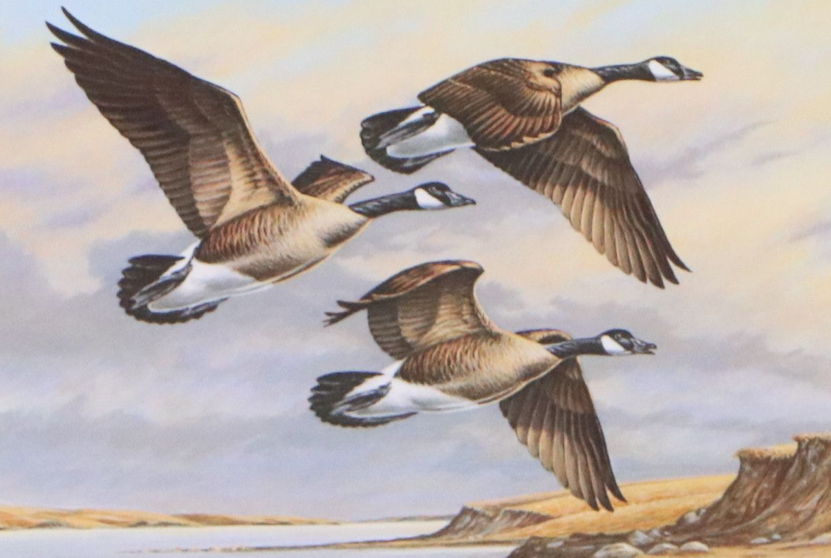 Marion Toillion and Rosemary Millette Offset Lithograph Duck Stamp Prints