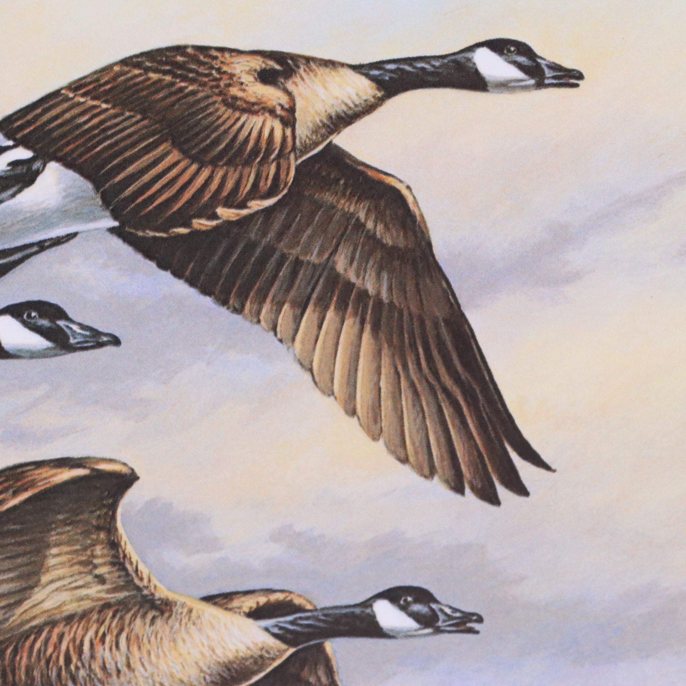 Marion Toillion and Rosemary Millette Offset Lithograph Duck Stamp Prints