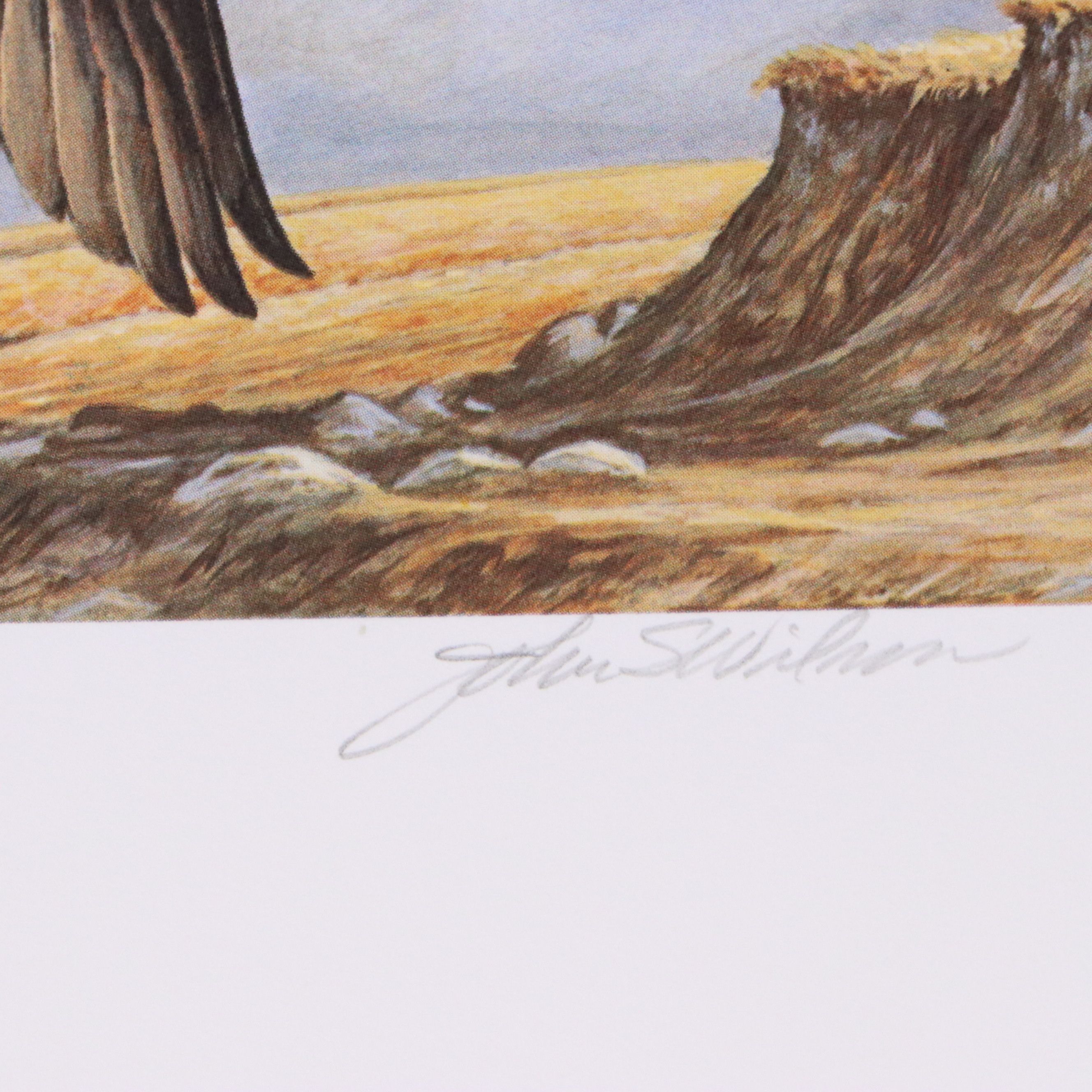 Marion Toillion and Rosemary Millette Offset Lithograph Duck Stamp Prints