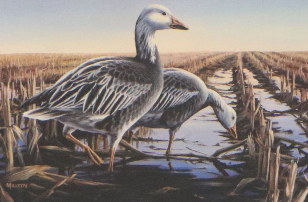 Marion Toillion and Rosemary Millette Offset Lithograph Duck Stamp Prints