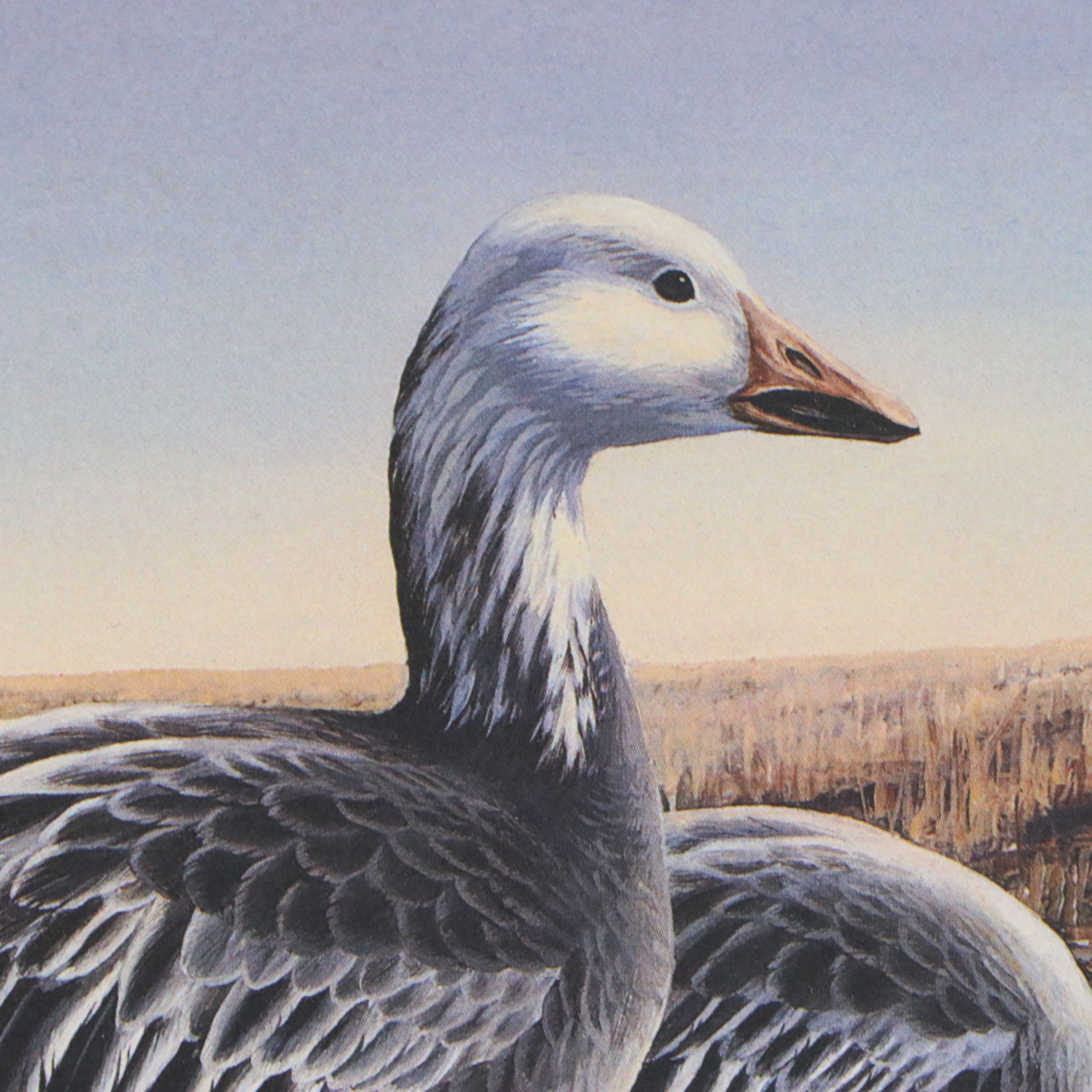 Marion Toillion and Rosemary Millette Offset Lithograph Duck Stamp Prints