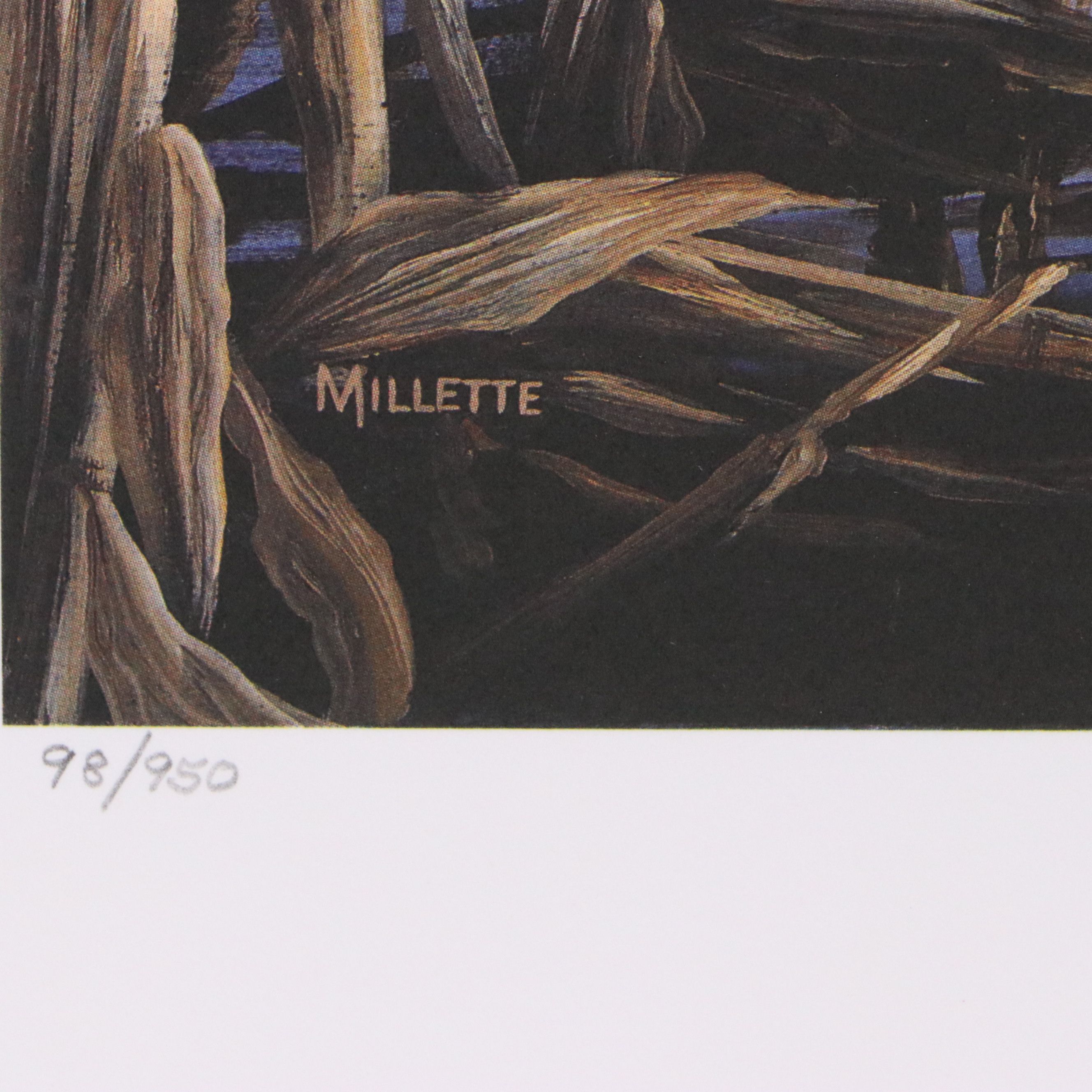 Marion Toillion and Rosemary Millette Offset Lithograph Duck Stamp Prints