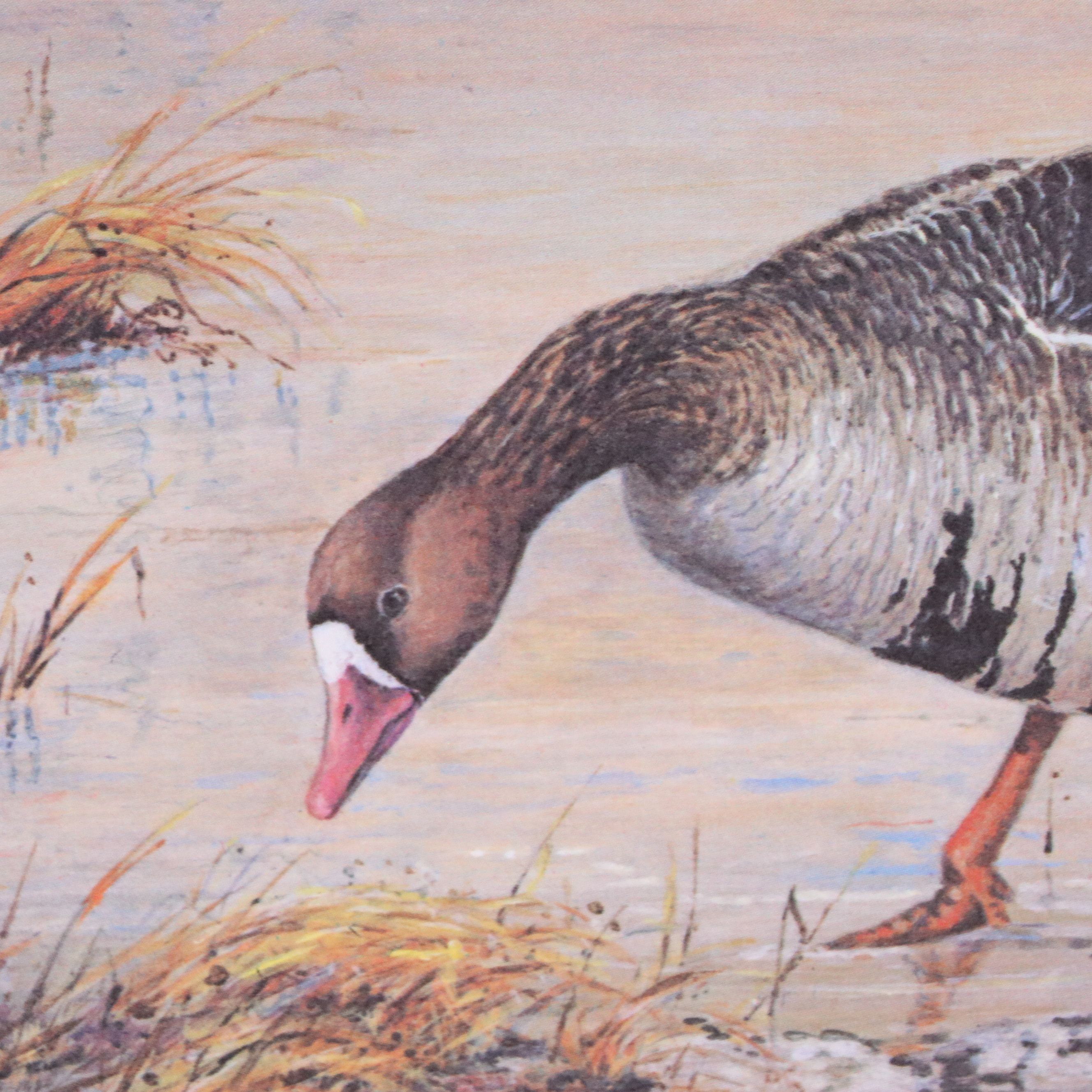 Marion Toillion and Rosemary Millette Offset Lithograph Duck Stamp Prints