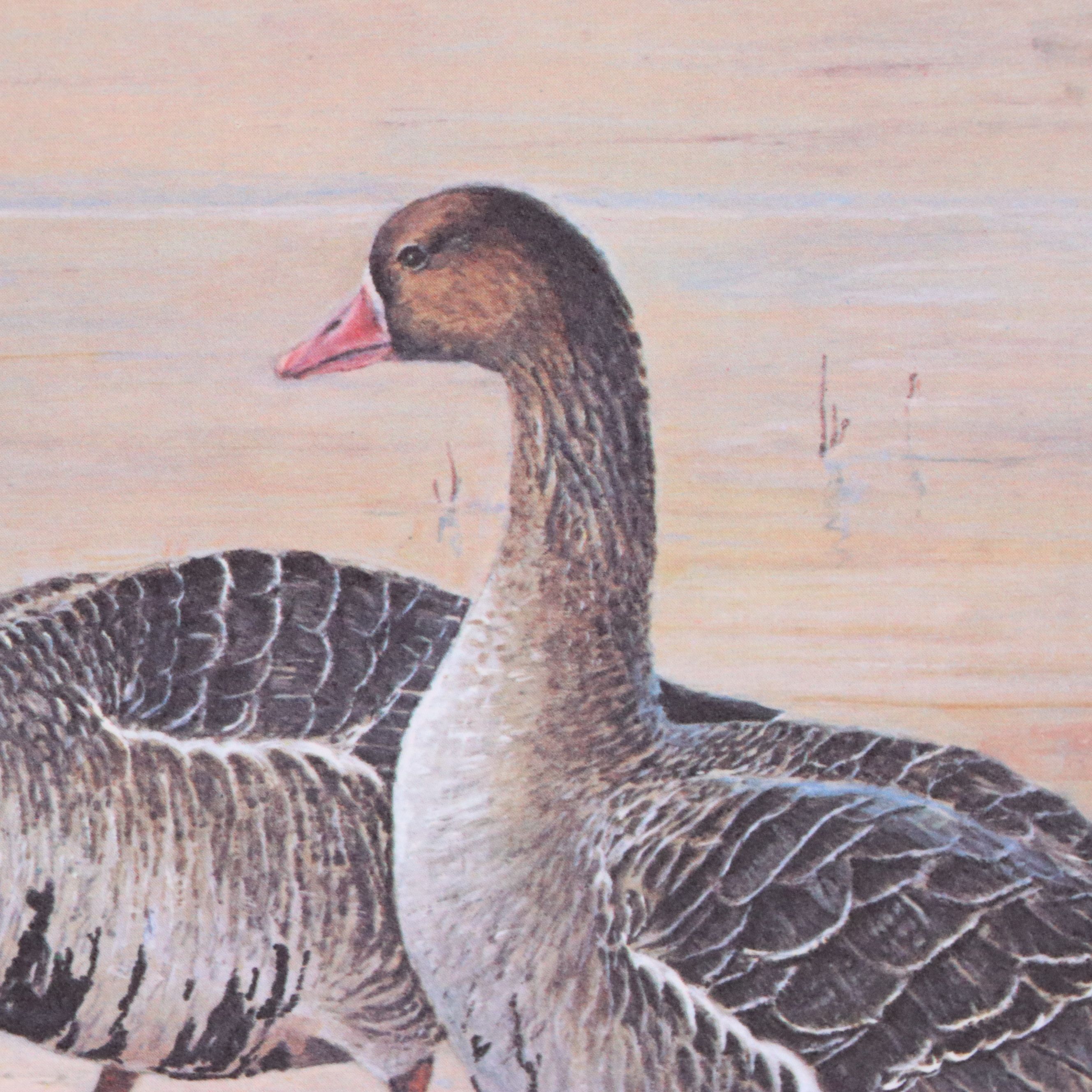 Marion Toillion and Rosemary Millette Offset Lithograph Duck Stamp Prints
