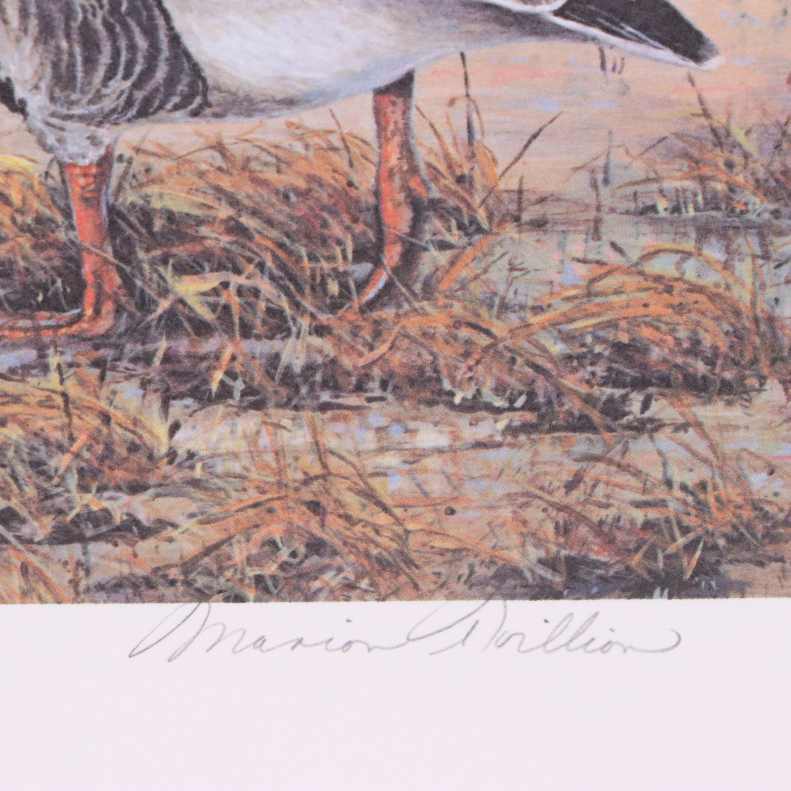 Marion Toillion and Rosemary Millette Offset Lithograph Duck Stamp Prints