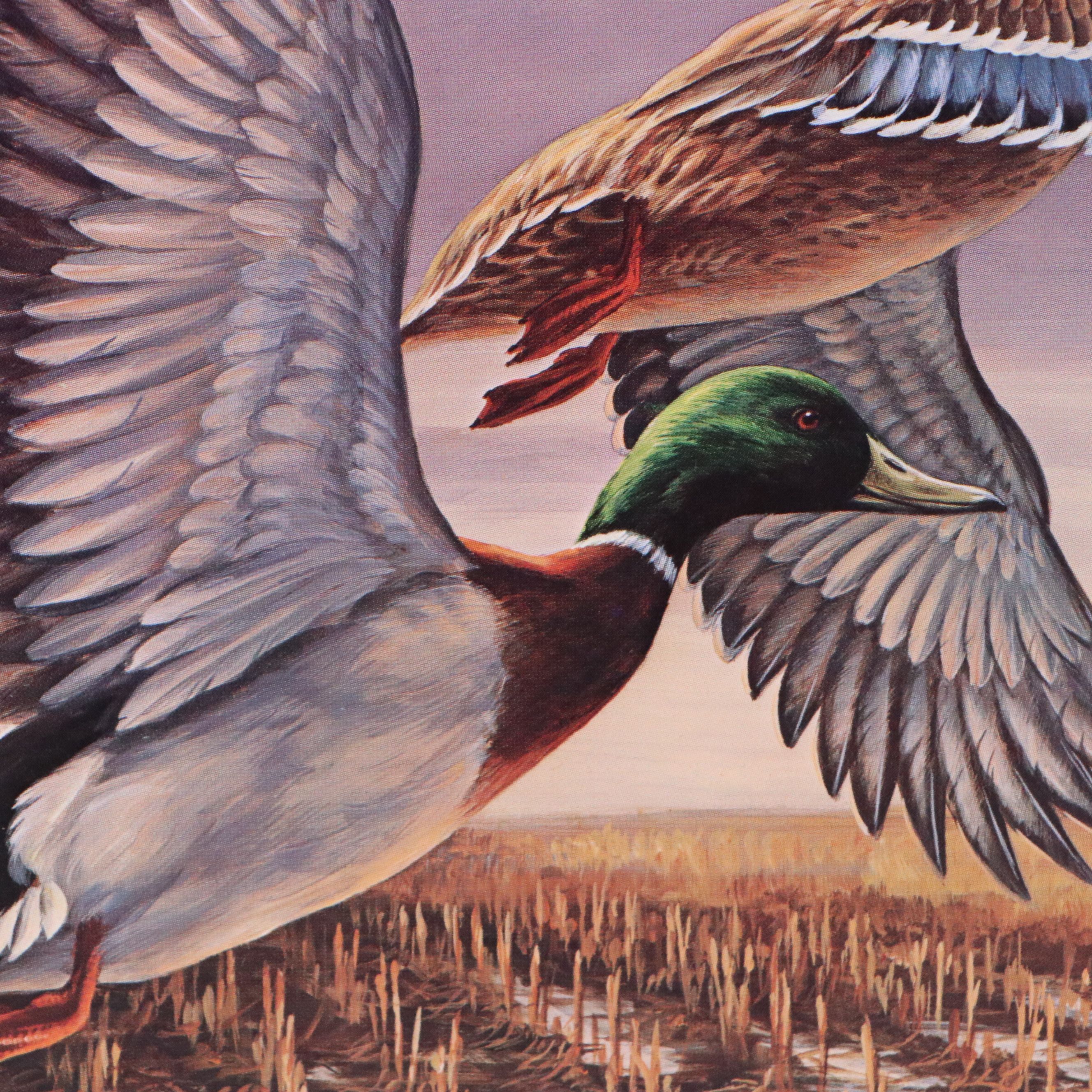 Marion Toillion and Rosemary Millette Offset Lithograph Duck Stamp Prints