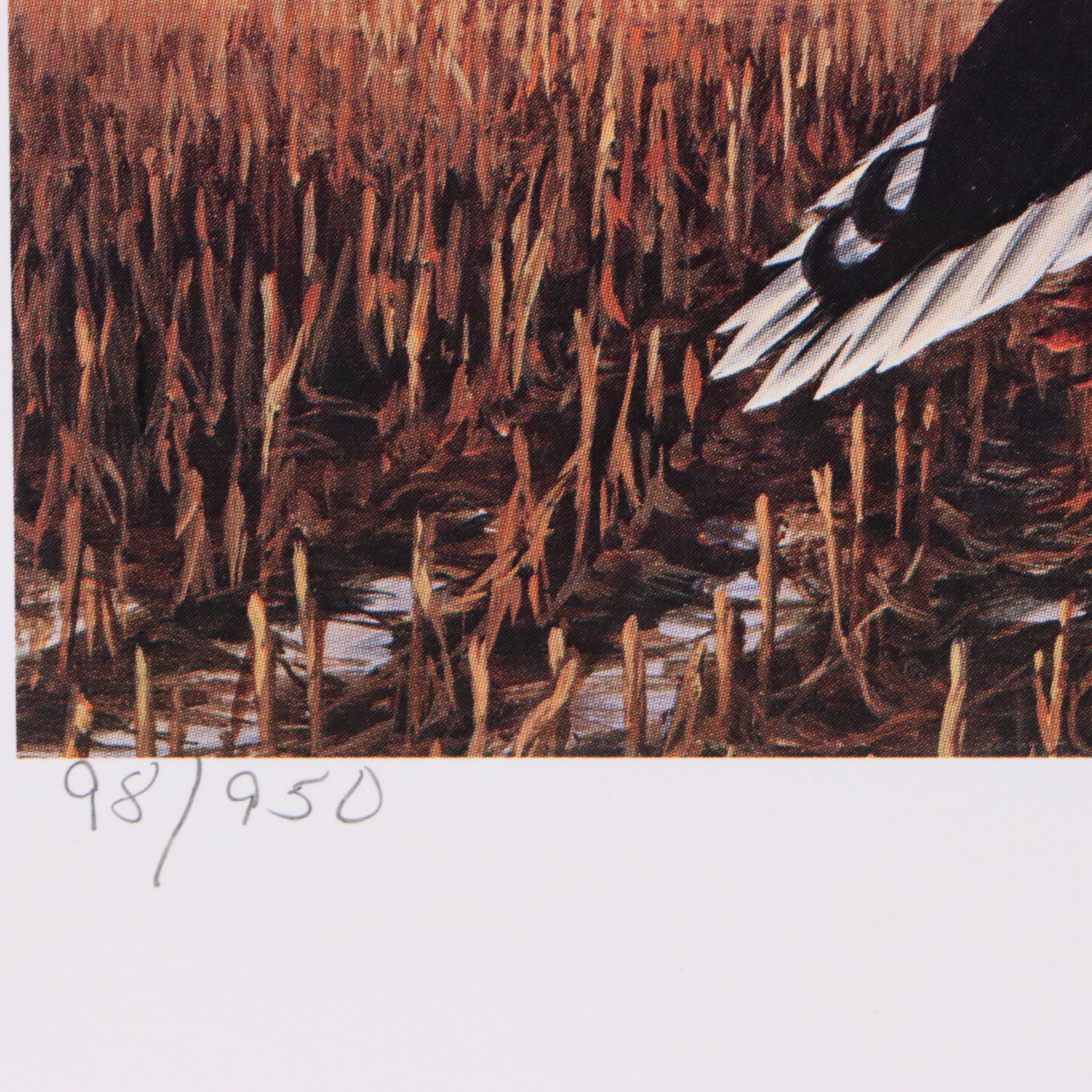 Marion Toillion and Rosemary Millette Offset Lithograph Duck Stamp Prints