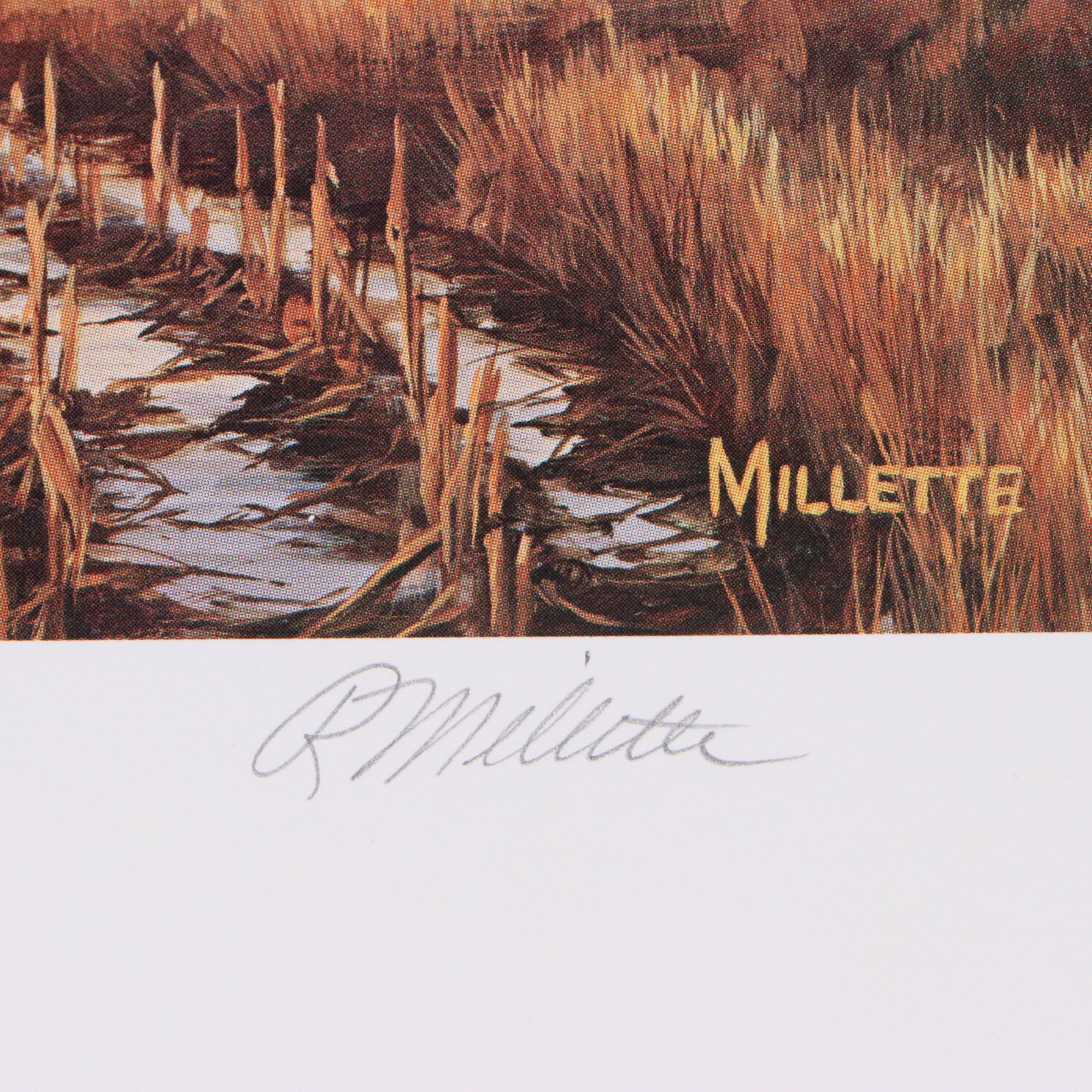 Marion Toillion and Rosemary Millette Offset Lithograph Duck Stamp Prints