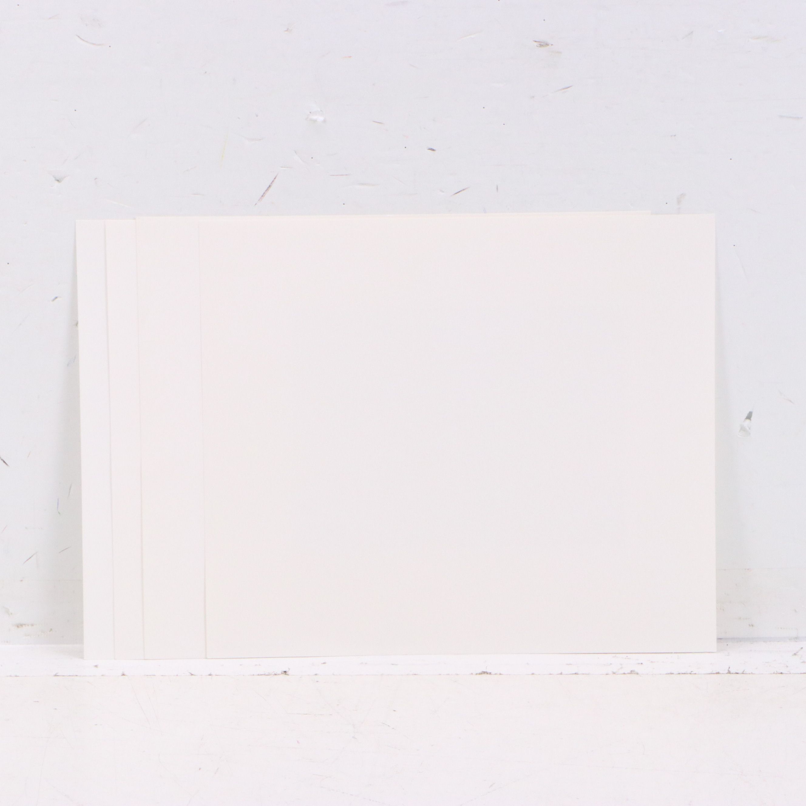 Marion Toillion and Rosemary Millette Offset Lithograph Duck Stamp Prints