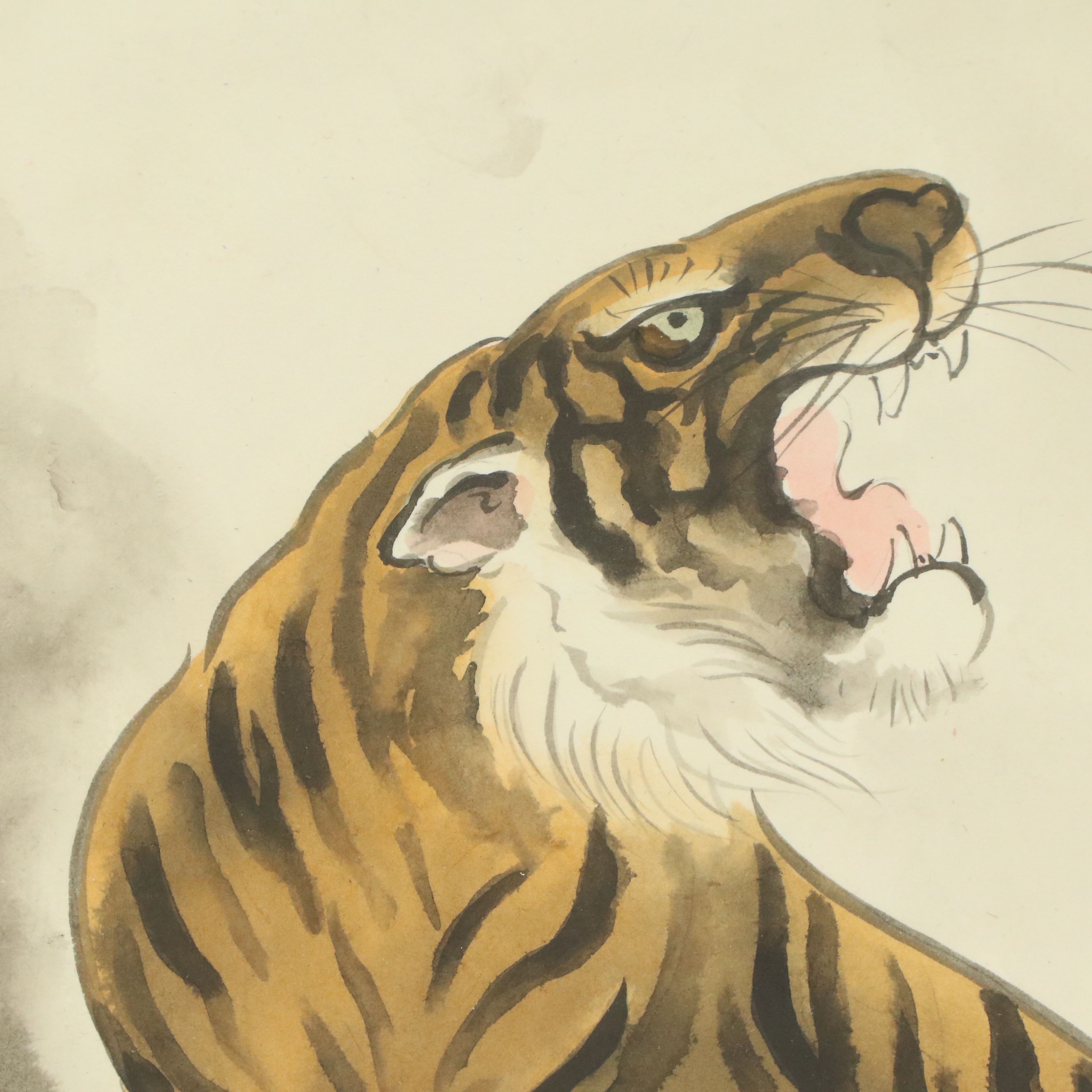 East Asian Watercolor Paintings of Tiger Portraits