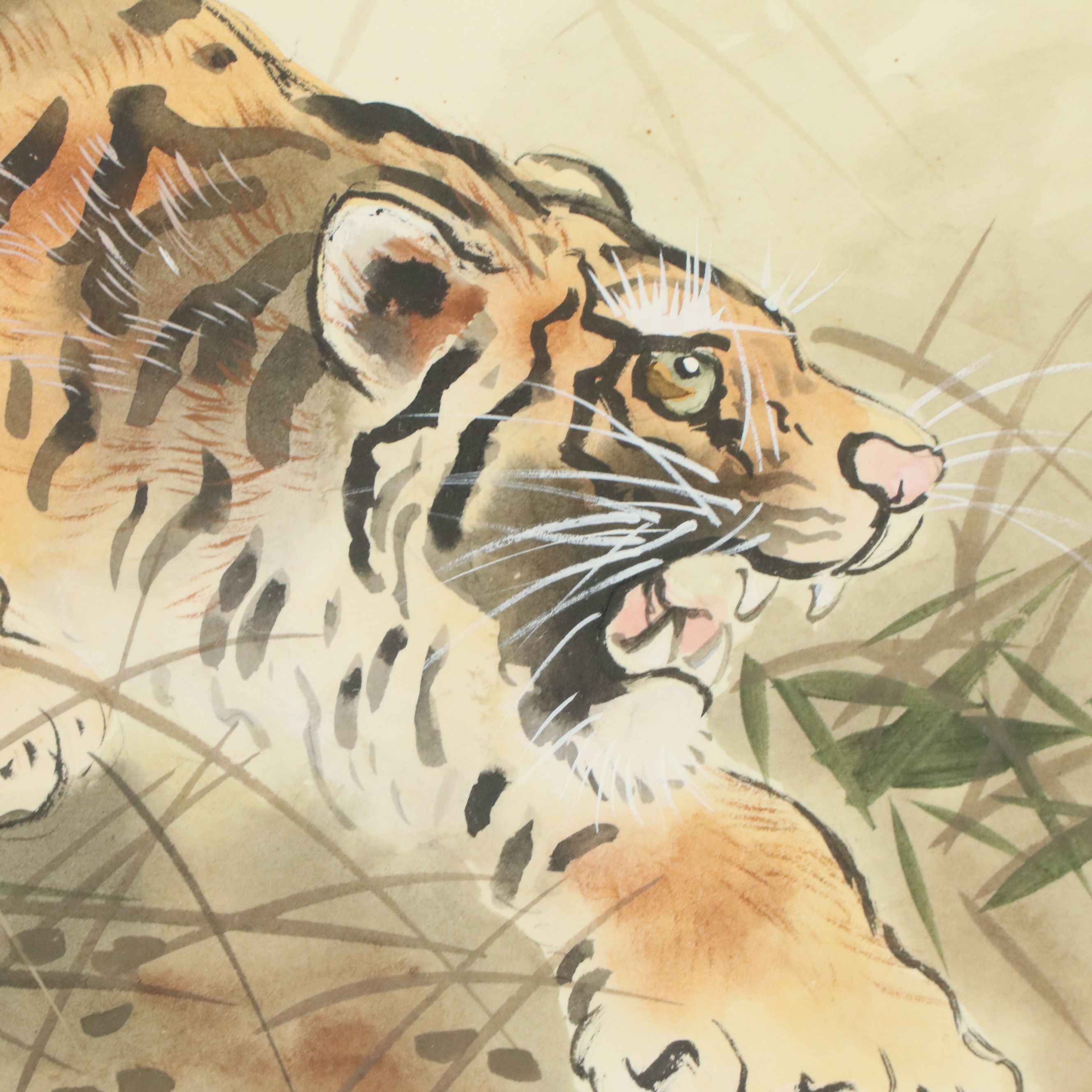 East Asian Watercolor Paintings of Tiger Portraits
